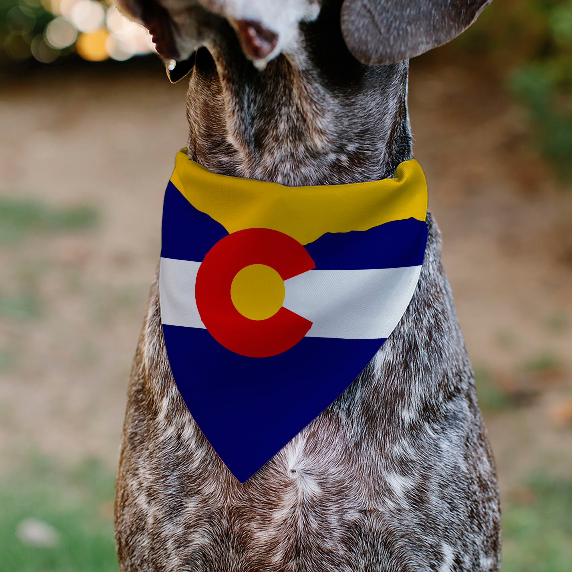 Pet Bandana - Colorado Flag/Mountain Silhouette Yellow Pet Bandanas Buckle-Down