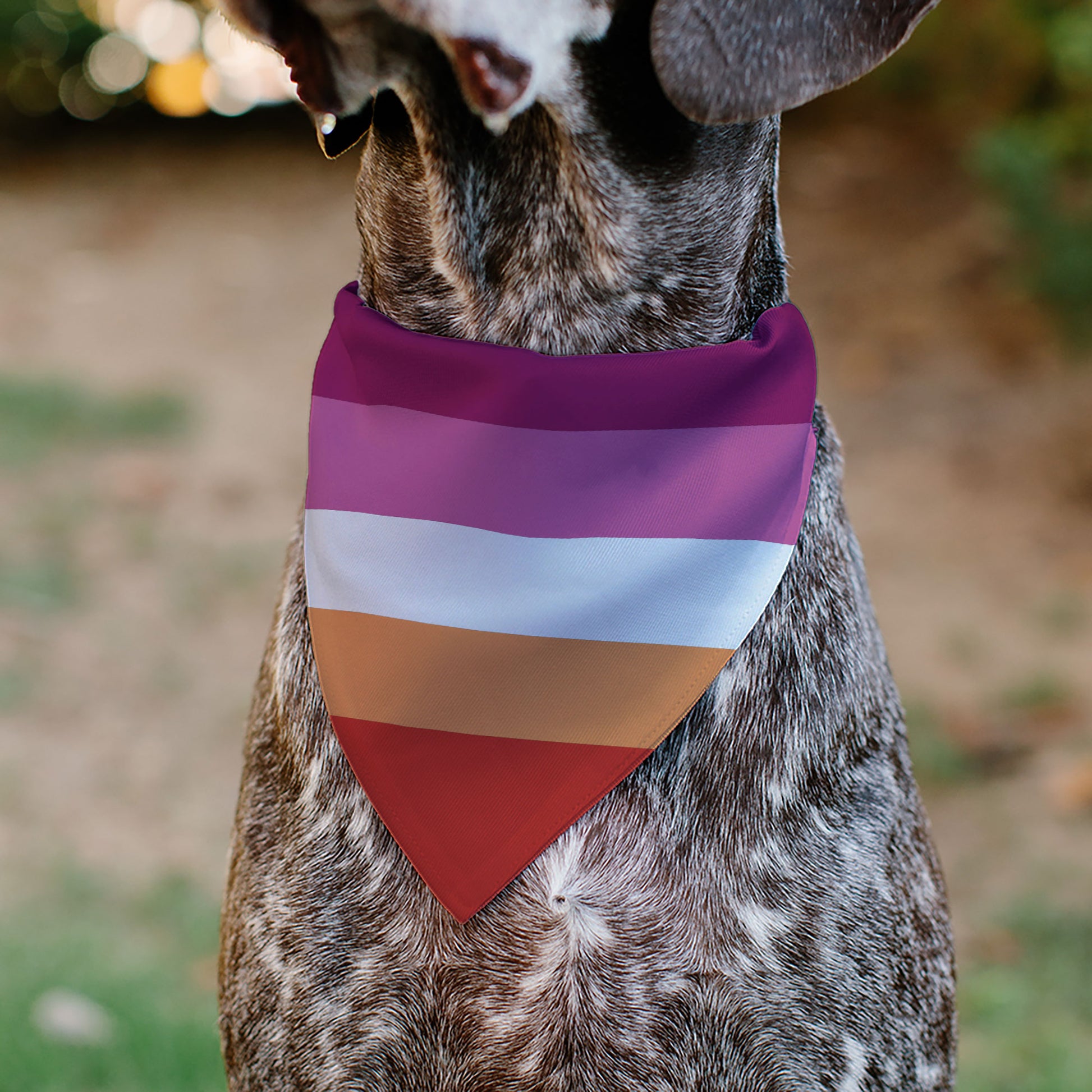 Pet Bandana - Flag Lesbian Five Stripe Oranges/White/Pinks Pet Bandanas Buckle-Down