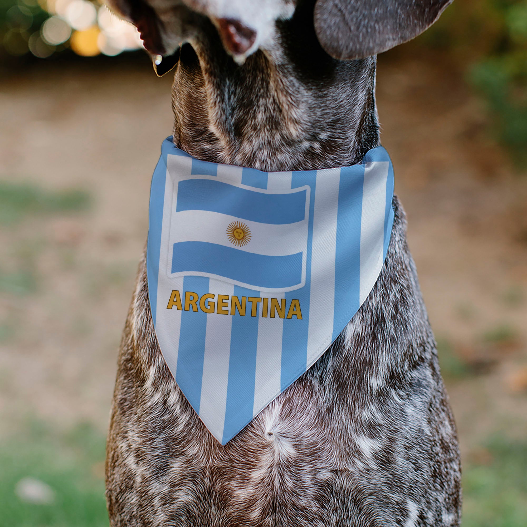 Pet Bandana - Global Soccer Cup Series Argentina Spirit Flag Pet Bandanas Buckle-Down