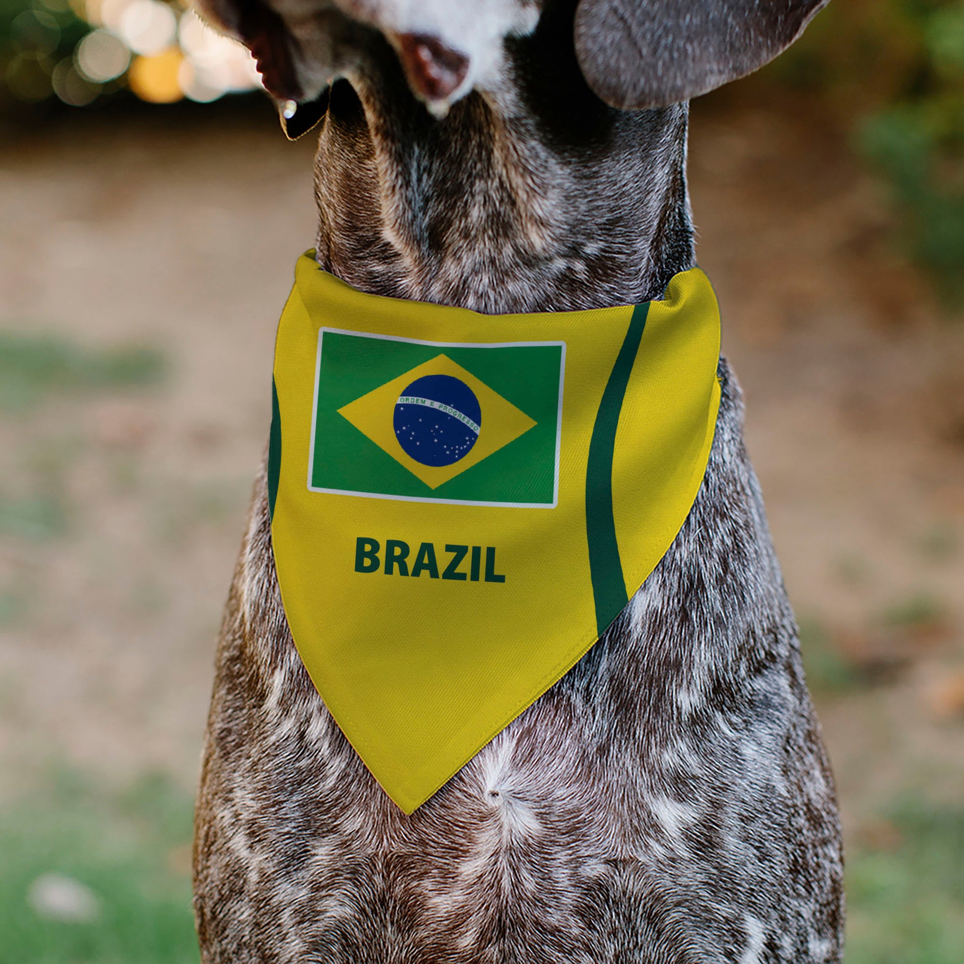 Pet Bandana - Global Soccer Cup Series Brazil Spirit Flag Pet Bandanas Buckle-Down
