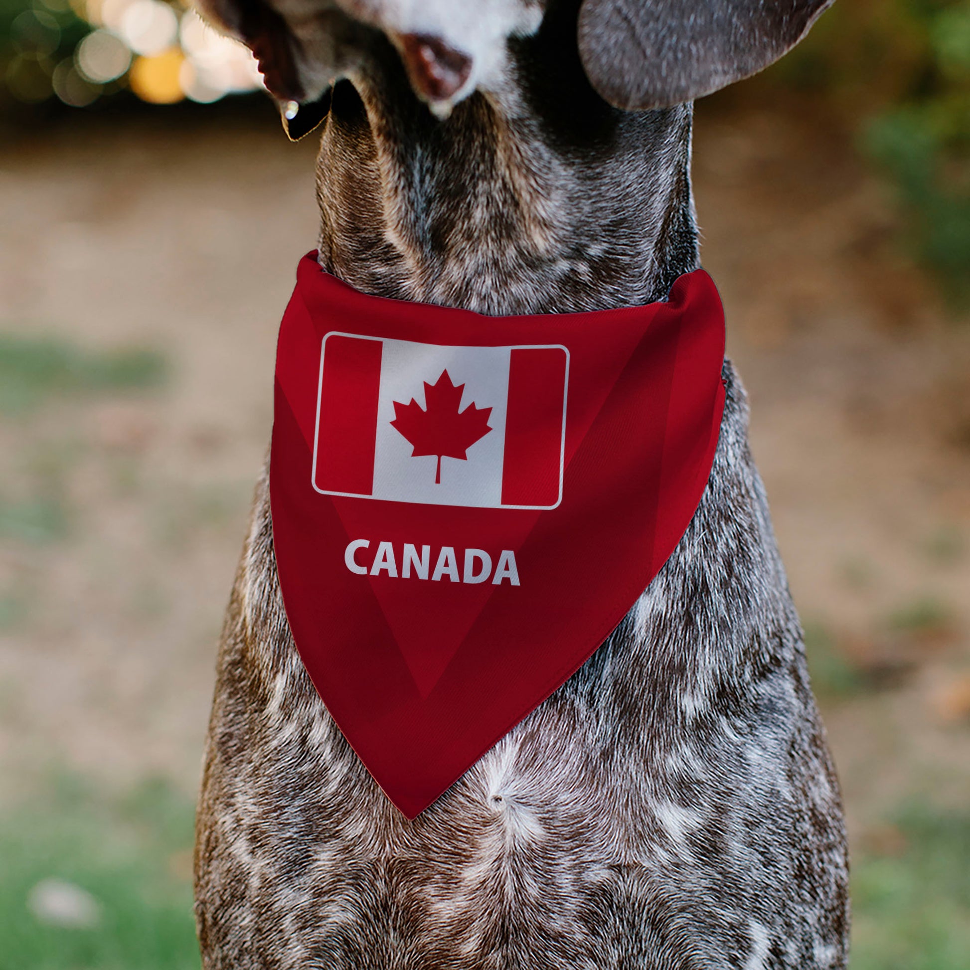 Pet Bandana - Global Soccer Cup Series Canada Spirit Flag Pet Bandanas Buckle-Down