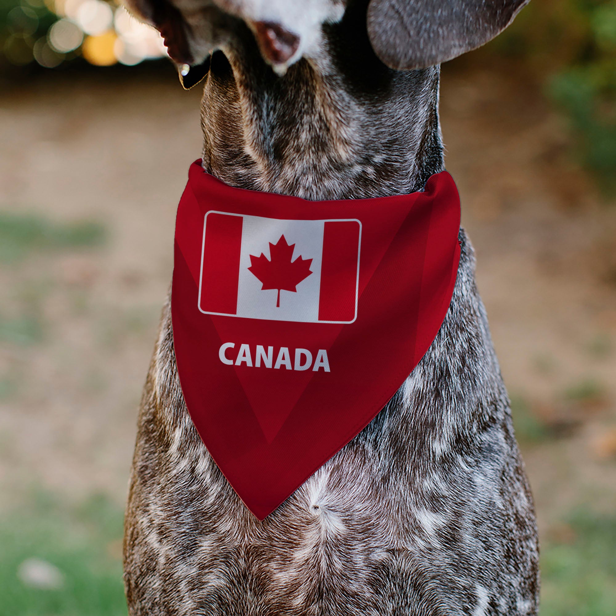 Pet Bandana - Global Soccer Cup Series Canada Spirit Flag Pet Bandanas Buckle-Down