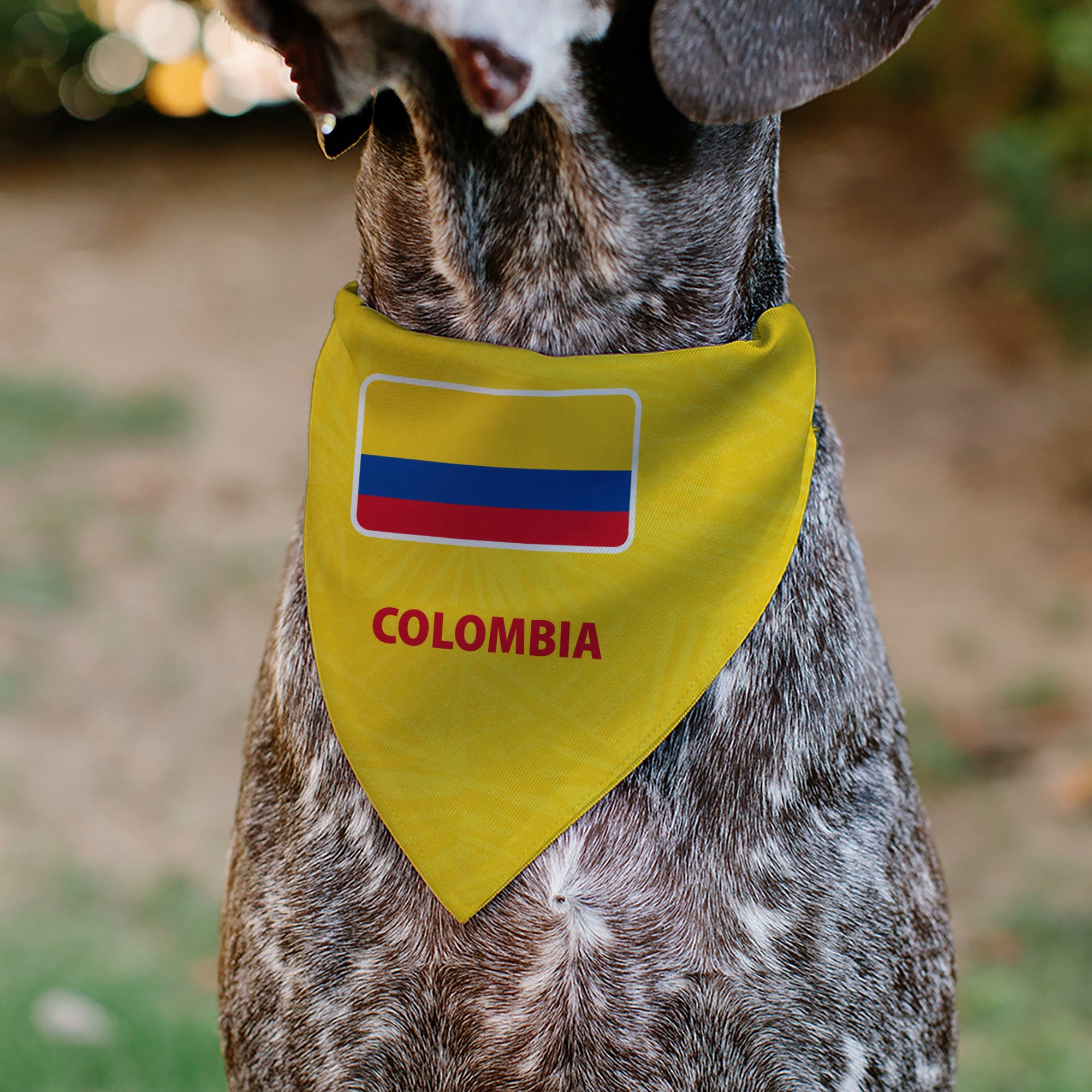 Pet Bandana - Global Soccer Cup Series Colombia Spirit Flag Pet Bandanas Buckle-Down