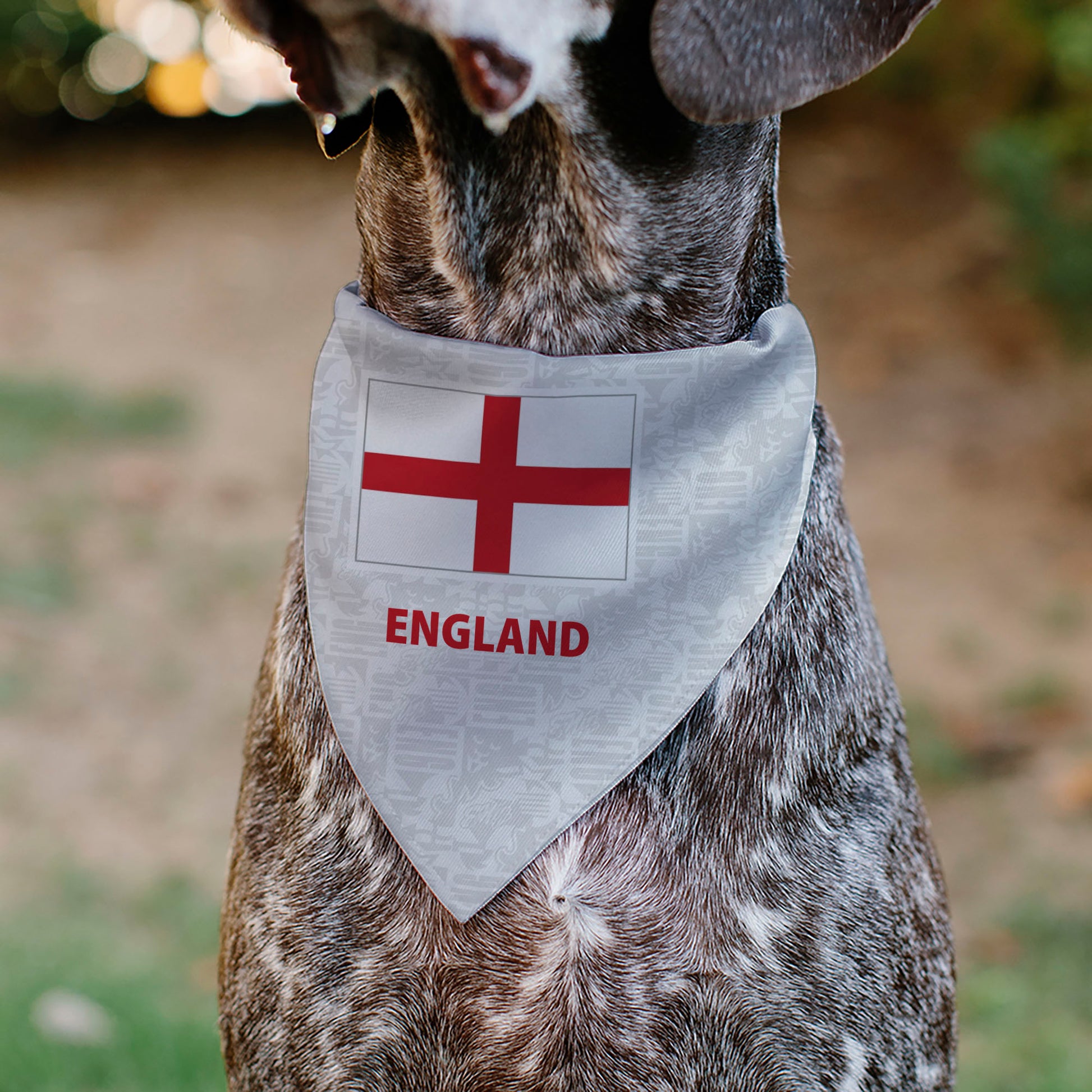 Pet Bandana - Global Soccer Cup Series England Spirit Flag Pet Bandanas Buckle-Down
