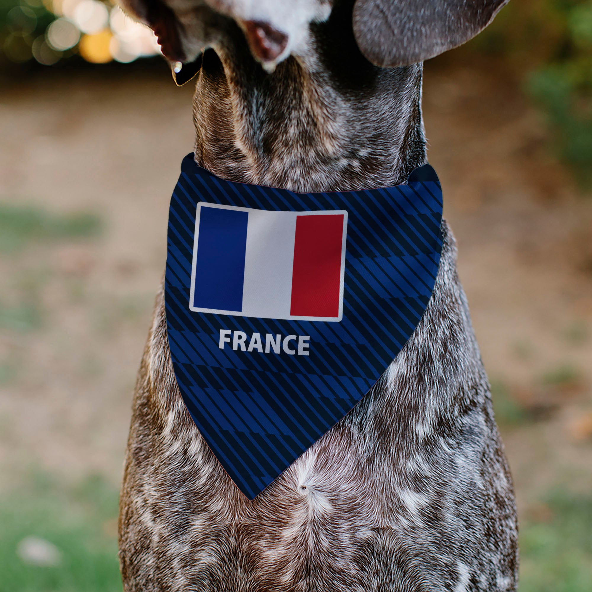 Pet Bandana - Global Soccer Cup Series France Spirit Flag Pet Bandanas Buckle-Down