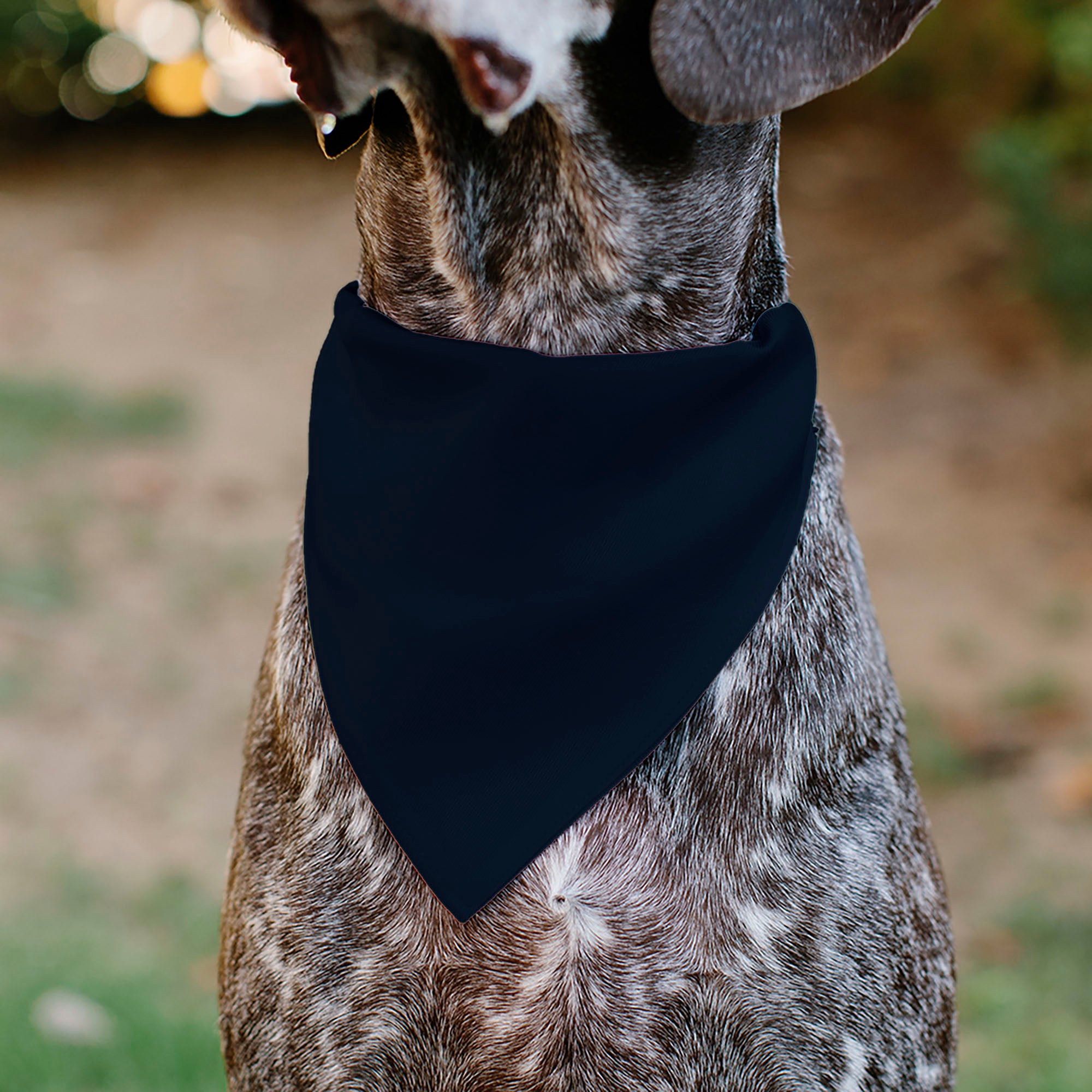Pet Bandana - Global Soccer Cup Series France Spirit Flag Pet Bandanas Buckle-Down