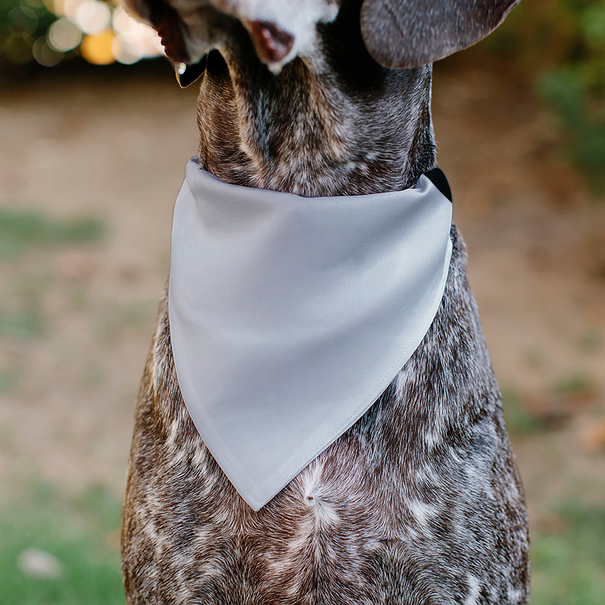 Pet Bandana - Global Soccer Cup Series Germany Spirit Flag Pet Bandanas Buckle-Down