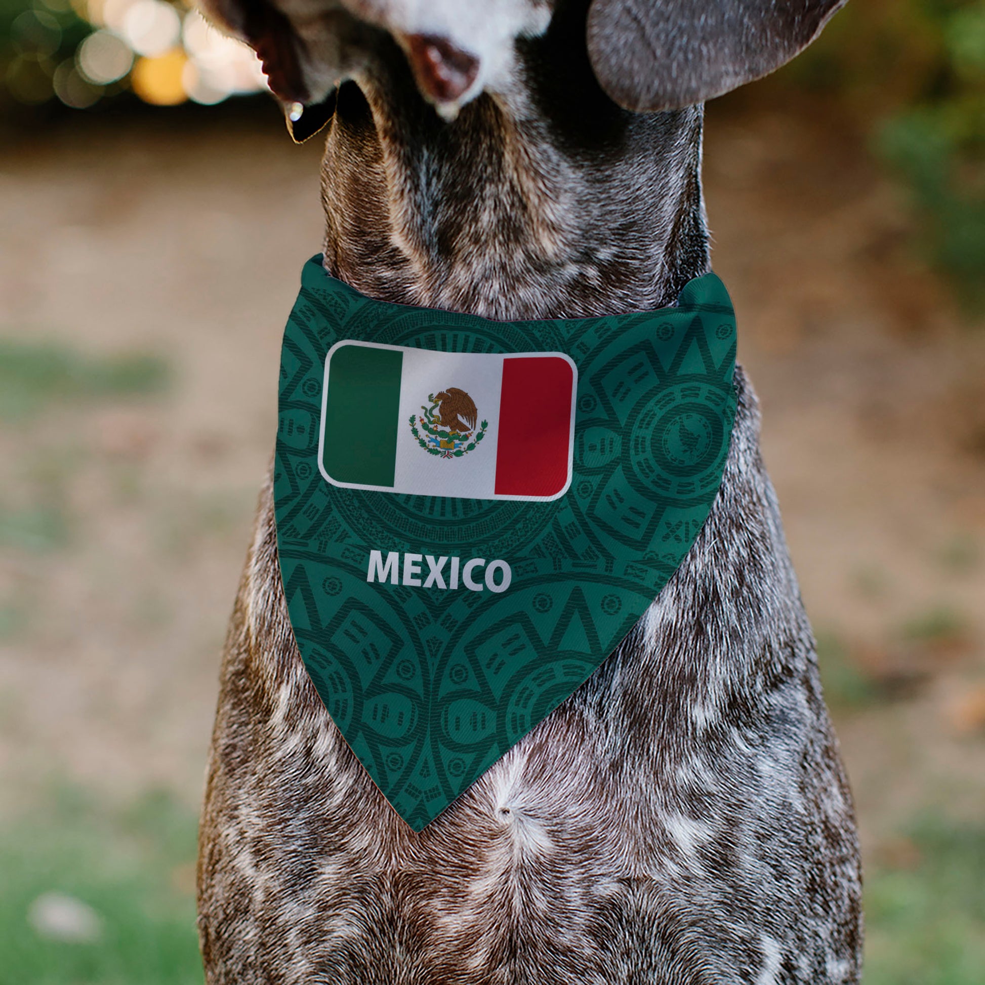 Pet Bandana - Global Soccer Cup Series Mexico Spirit Flag Pet Bandanas Buckle-Down