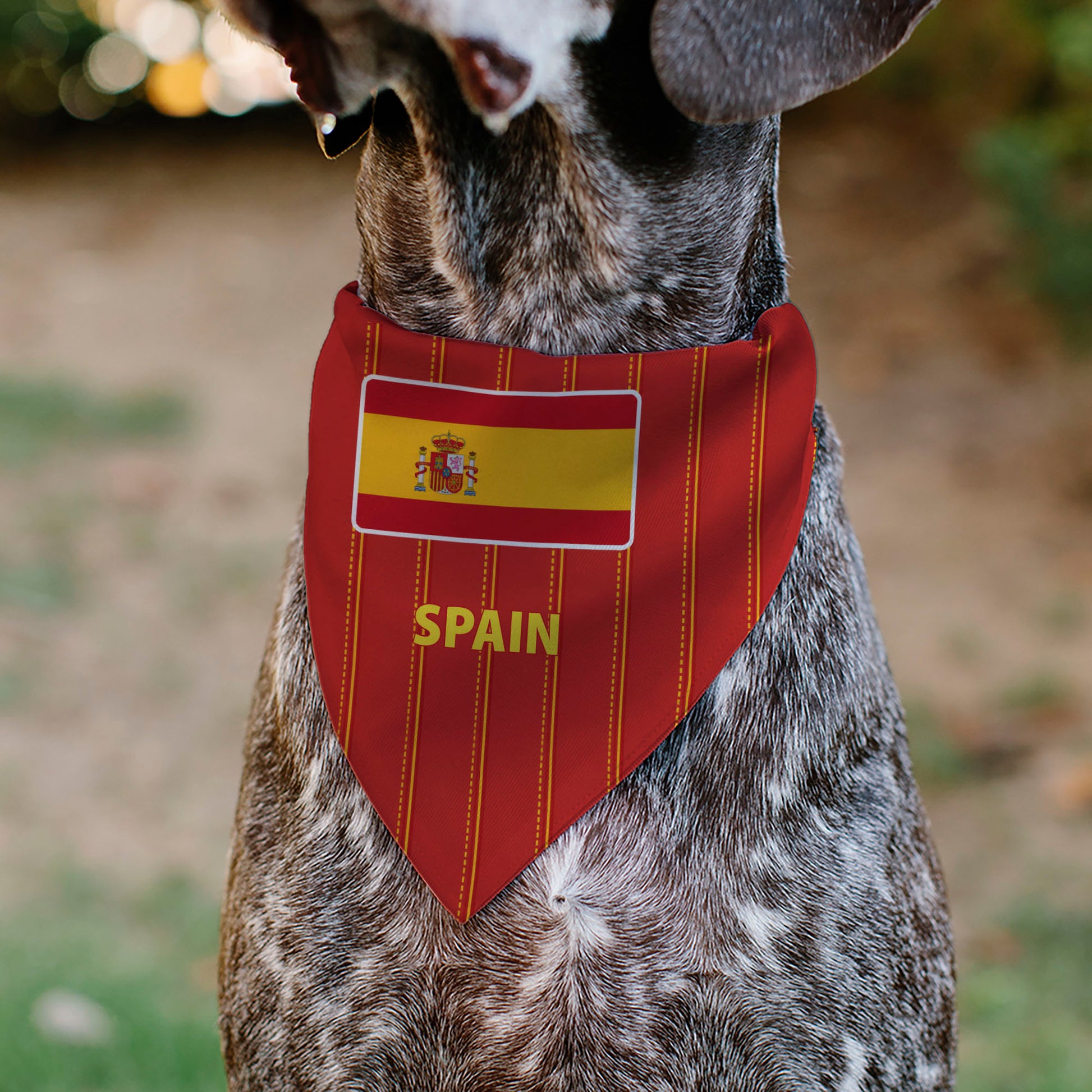 Pet Bandana - Global Soccer Cup Series Spain Spirit Flag Pet Bandanas Buckle-Down