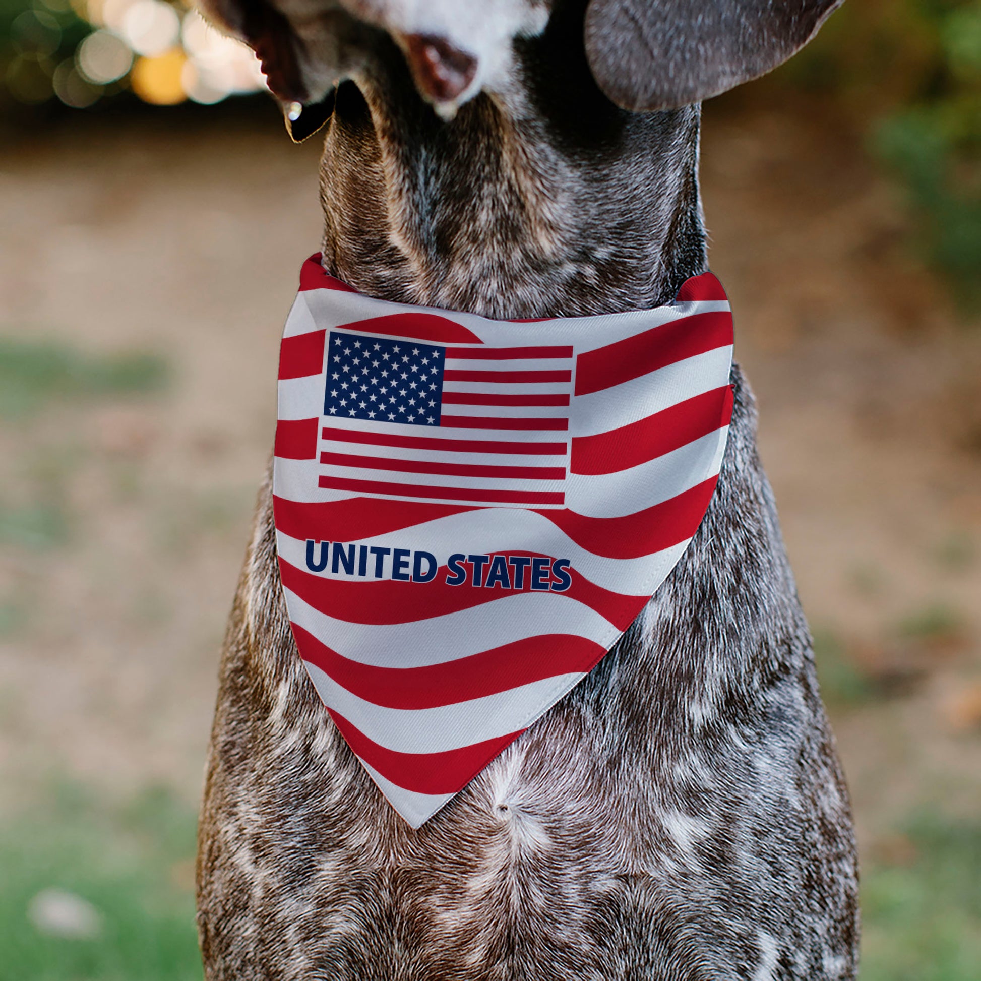Pet Bandana - Global Soccer Cup Series United States Spirit Flag Pet Bandanas Buckle-Down