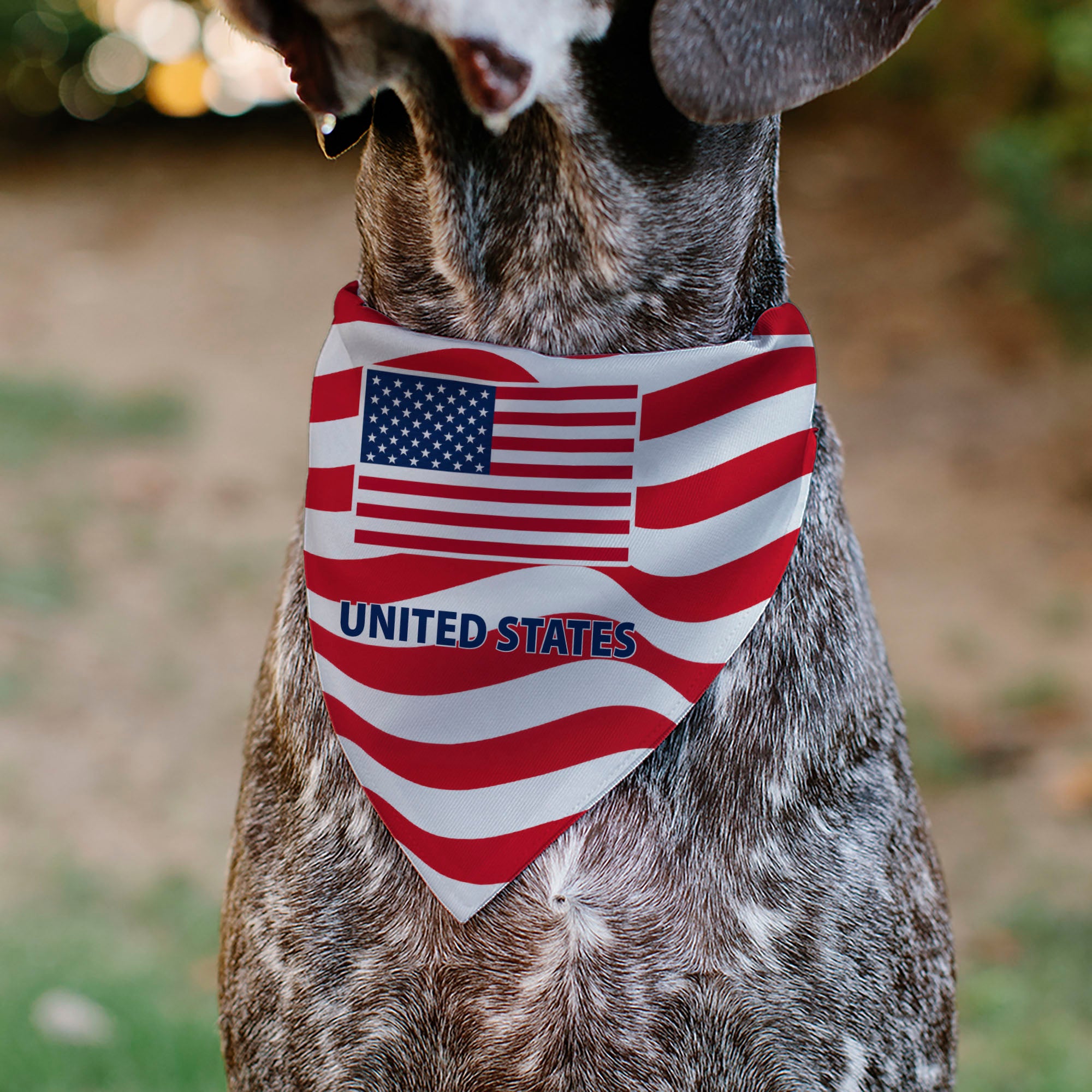 Pet Bandana - Global Soccer Cup Series United States Spirit Flag Pet Bandanas Buckle-Down