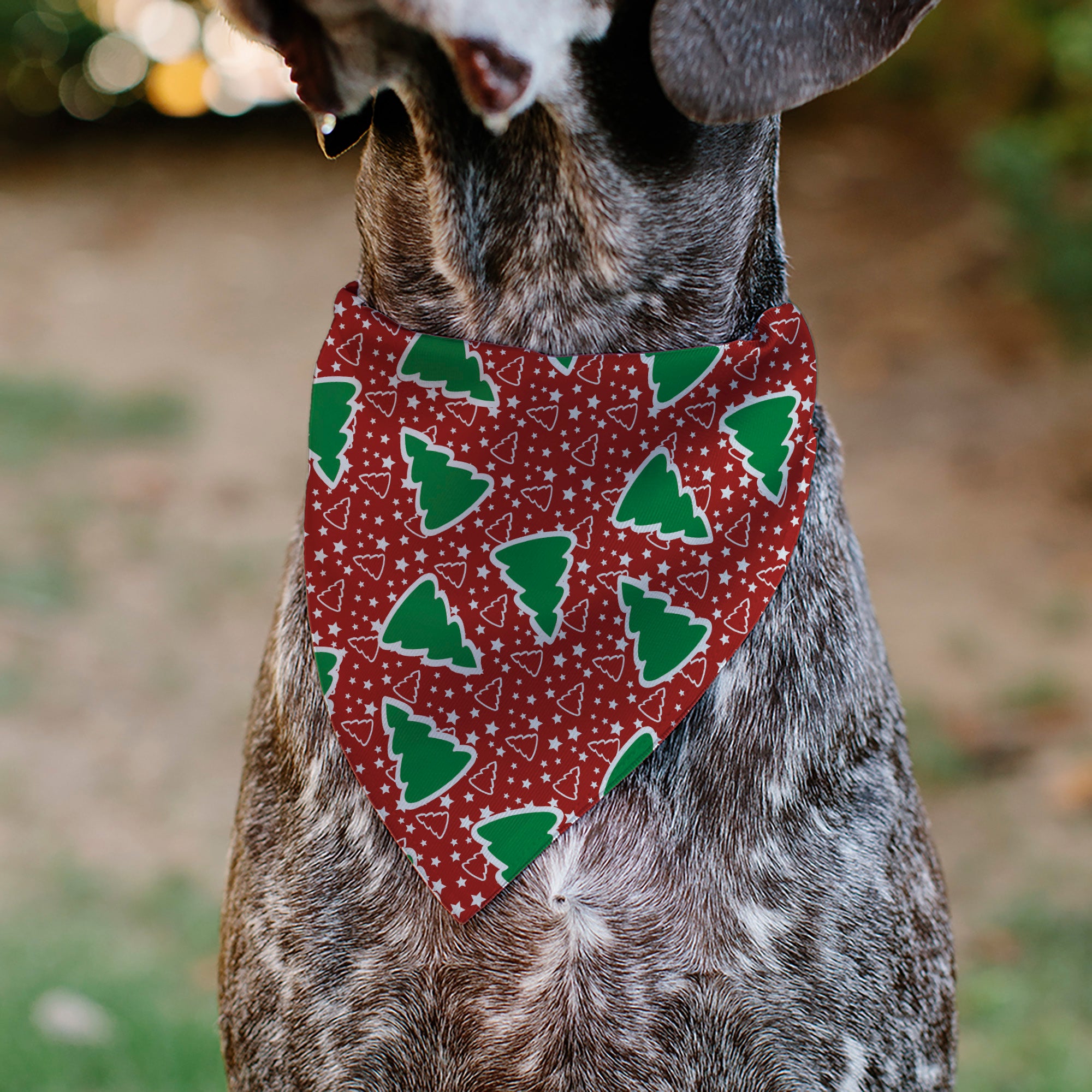 Pet Bandana - Christmas Trees/Stars Red/White/Green Pet Bandanas Buckle-Down
