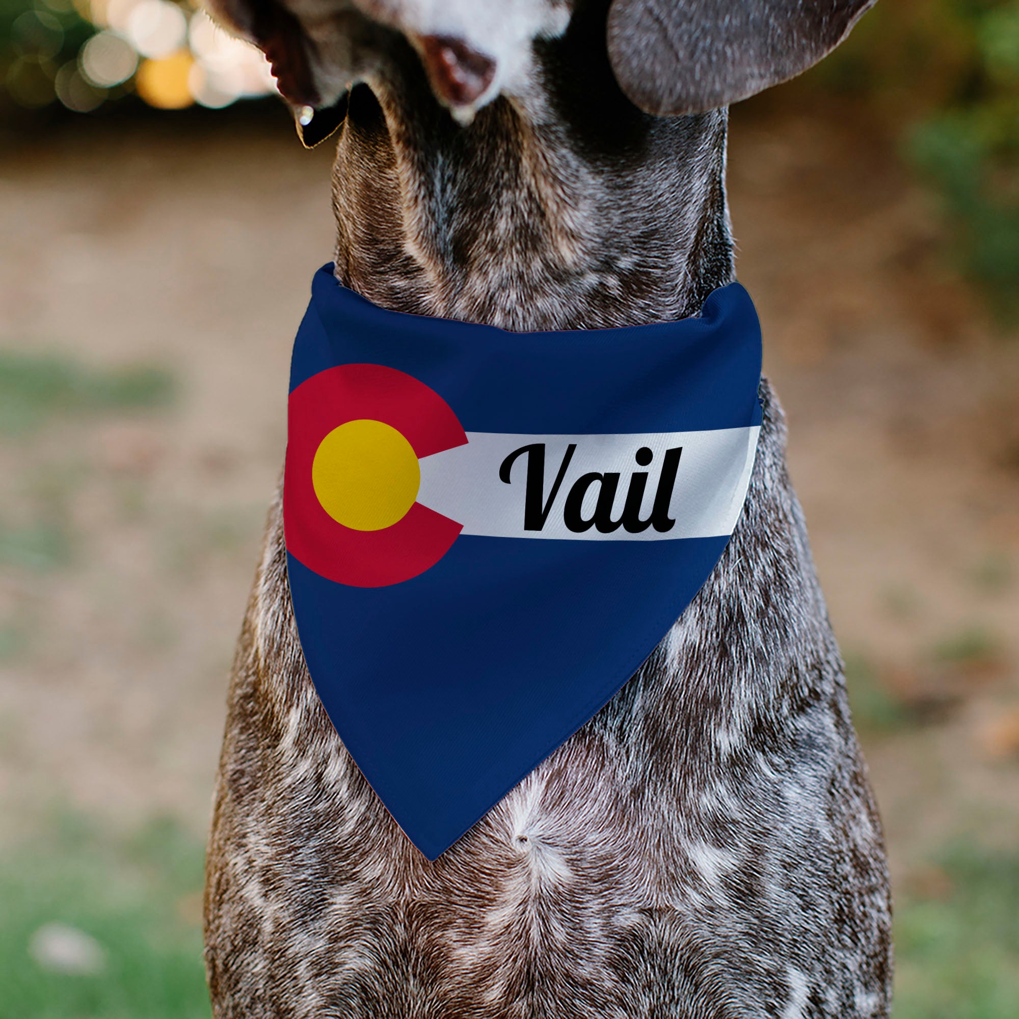 Pet Bandana - Colorado VAIL Flag Blue/White/Red/Yellow Pet Bandanas Buckle-Down