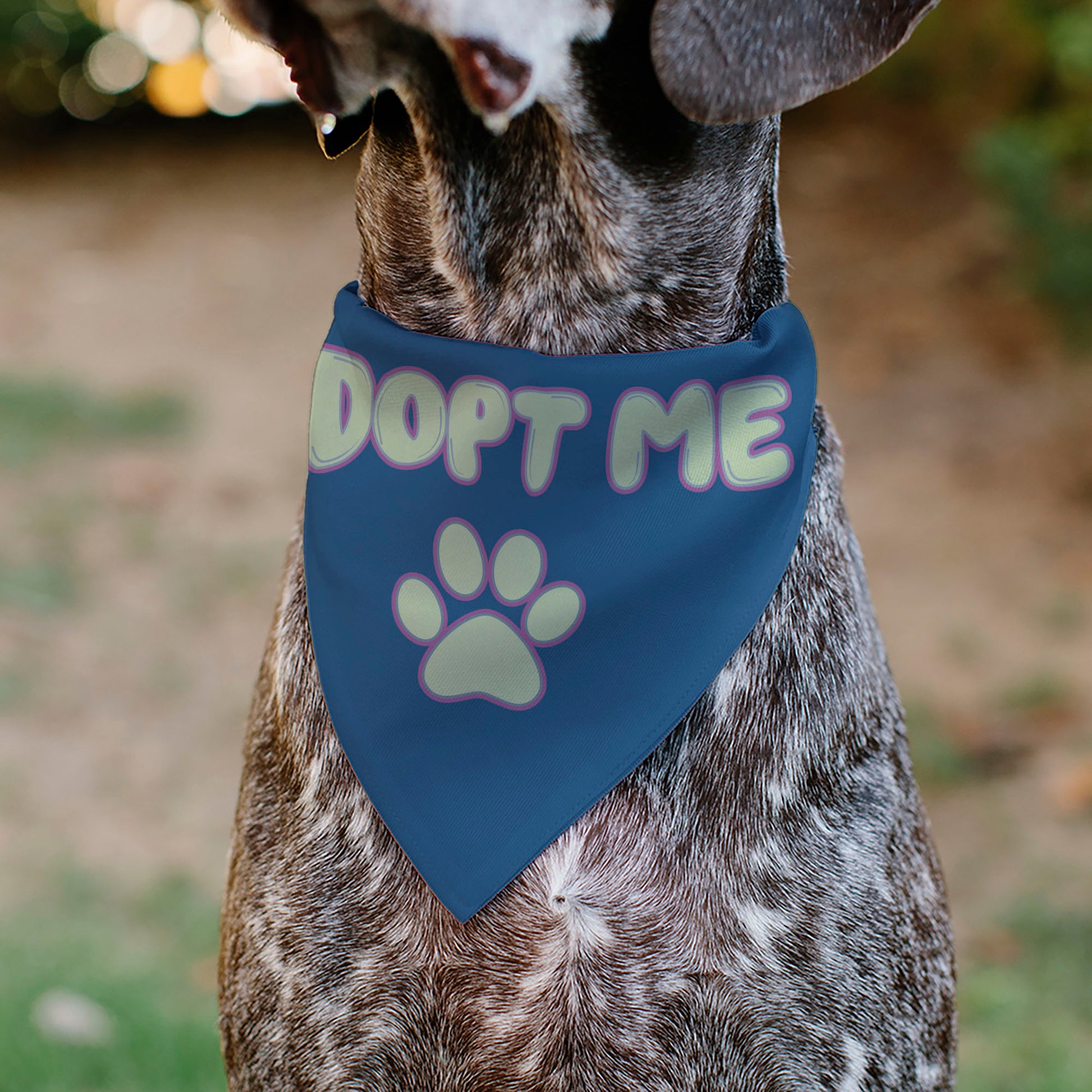 Pet Bandana - ADOPT ME Text and Paw Black/Lavender/Ivory Pet Bandanas Buckle-Down
