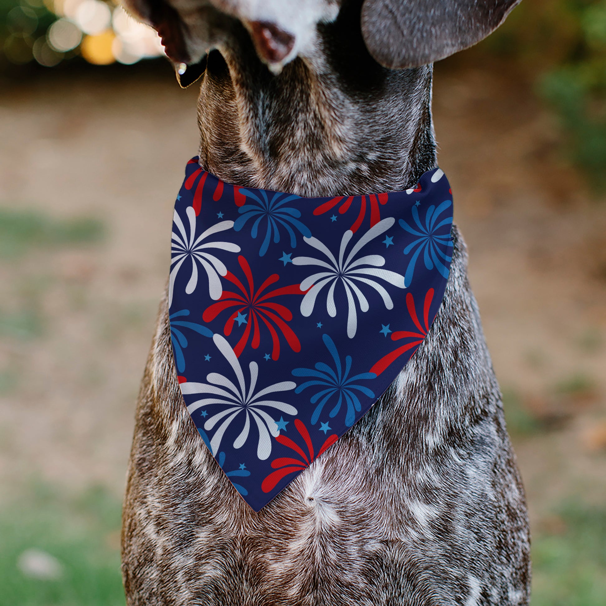 Pet Bandana - Americana Fireworks Show Blues/Red/White Pet Bandanas Buckle-Down