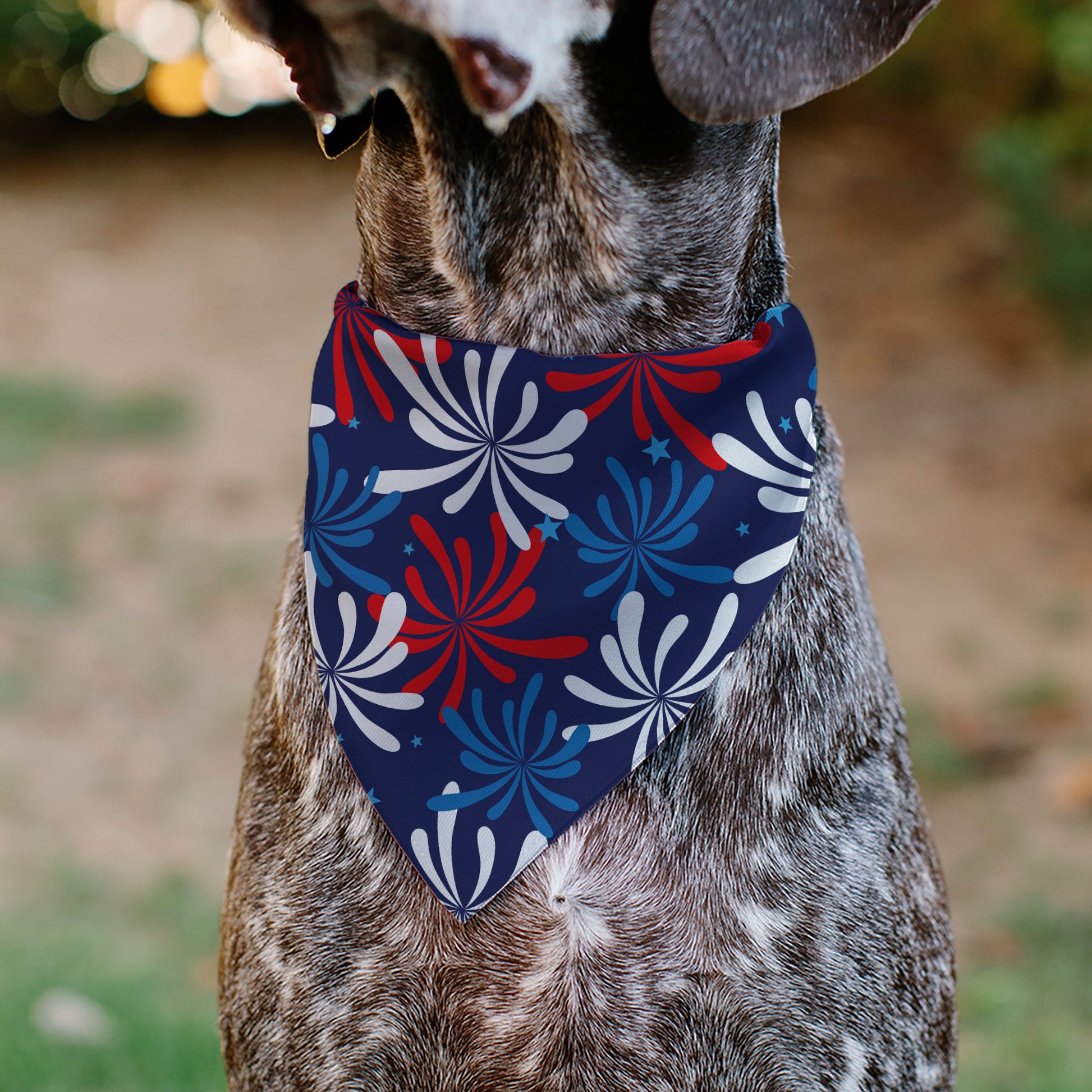Pet Bandana - Americana Fireworks Show Blues/Red/White Pet Bandanas Buckle-Down