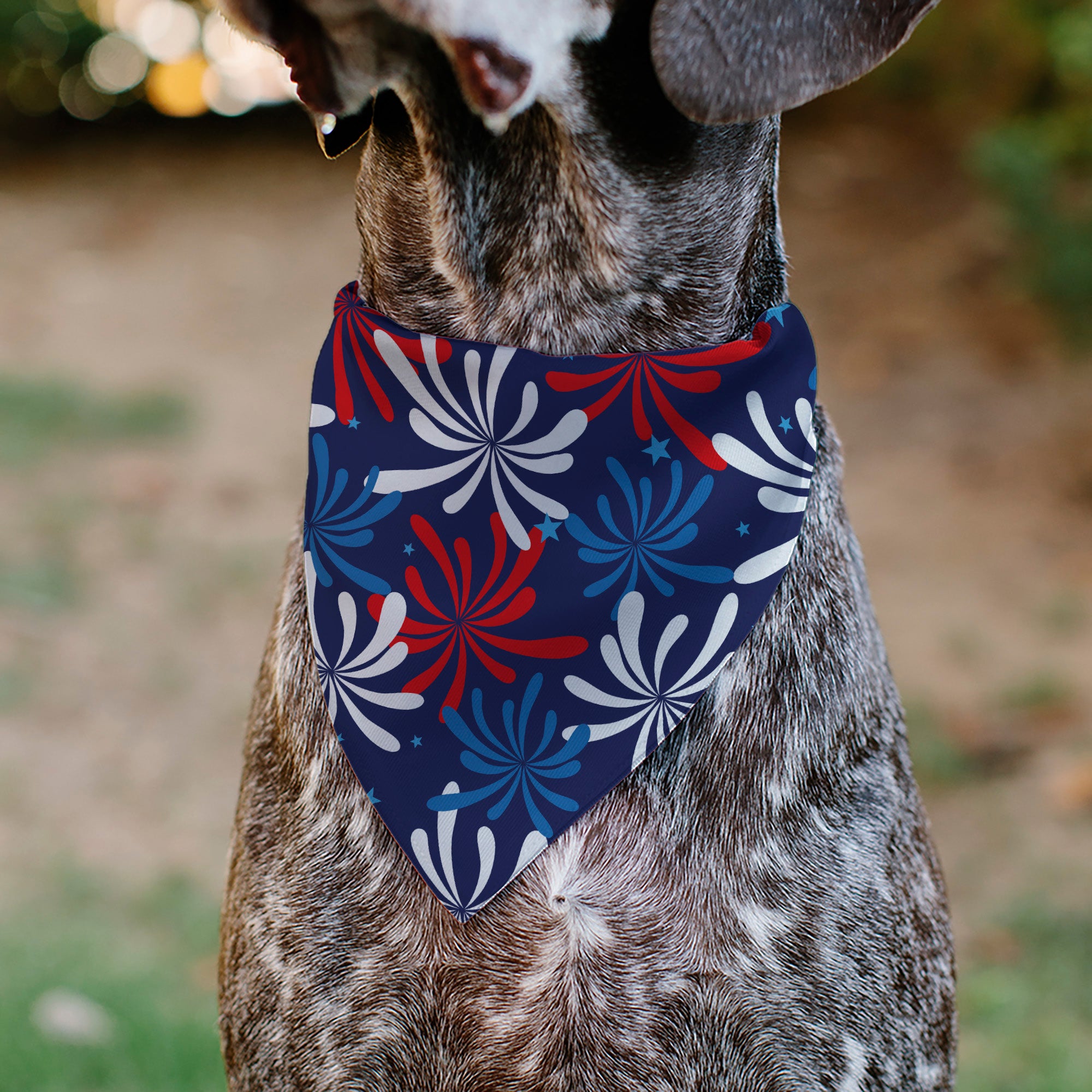 Pet Bandana - Americana Fireworks Show Blues/Red/White Pet Bandanas Buckle-Down