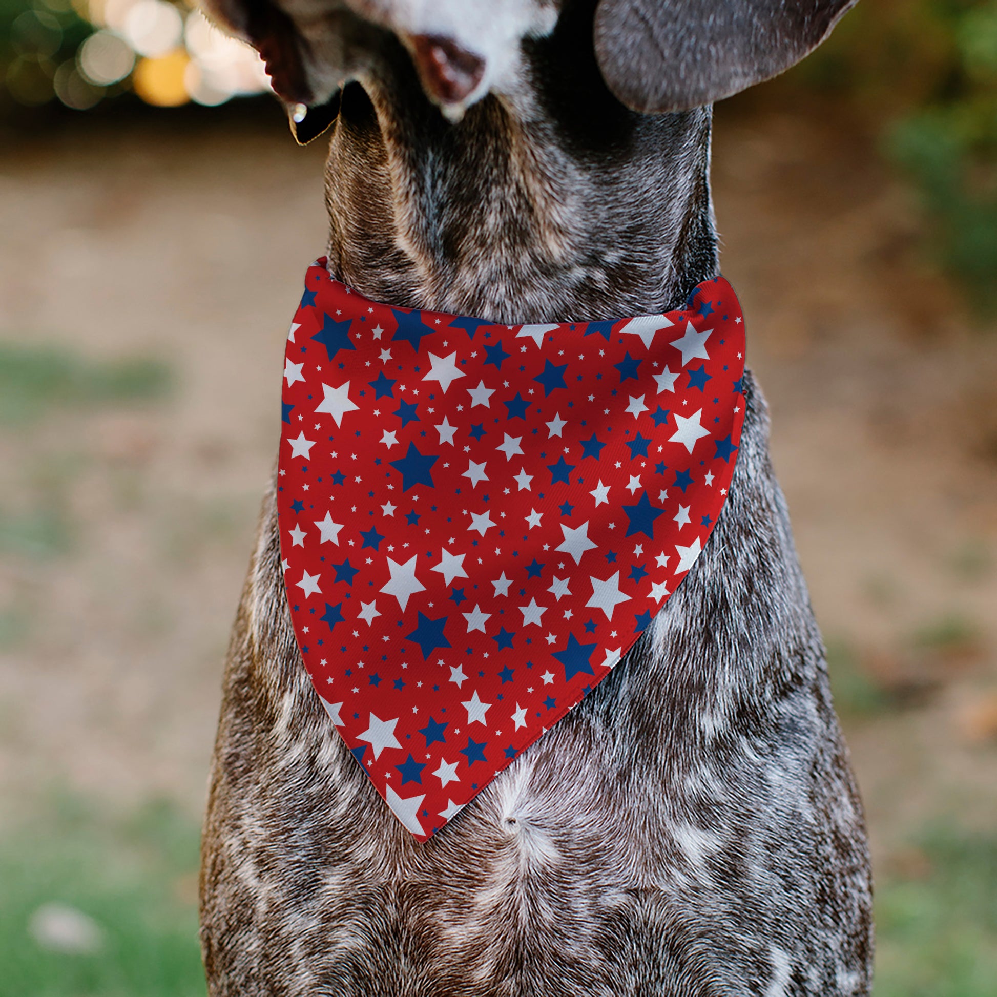 Pet Bandana - Americana Stars Scattered Red/White/Blue Pet Bandanas Buckle-Down
