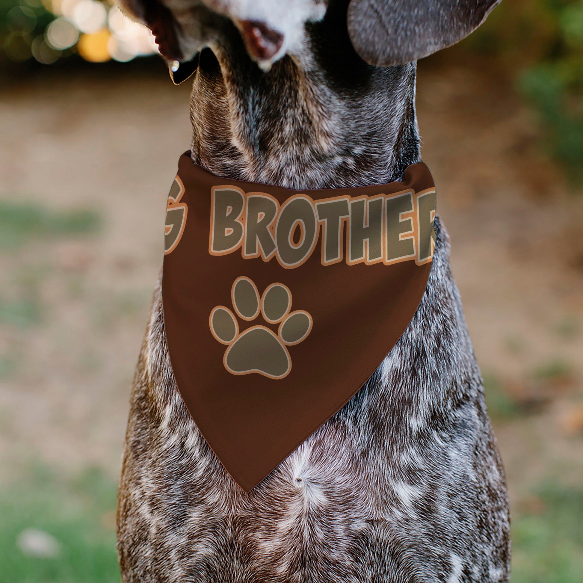 Pet Bandana - BIG BROTHER Text and Paw Browns Pet Bandanas Buckle-Down