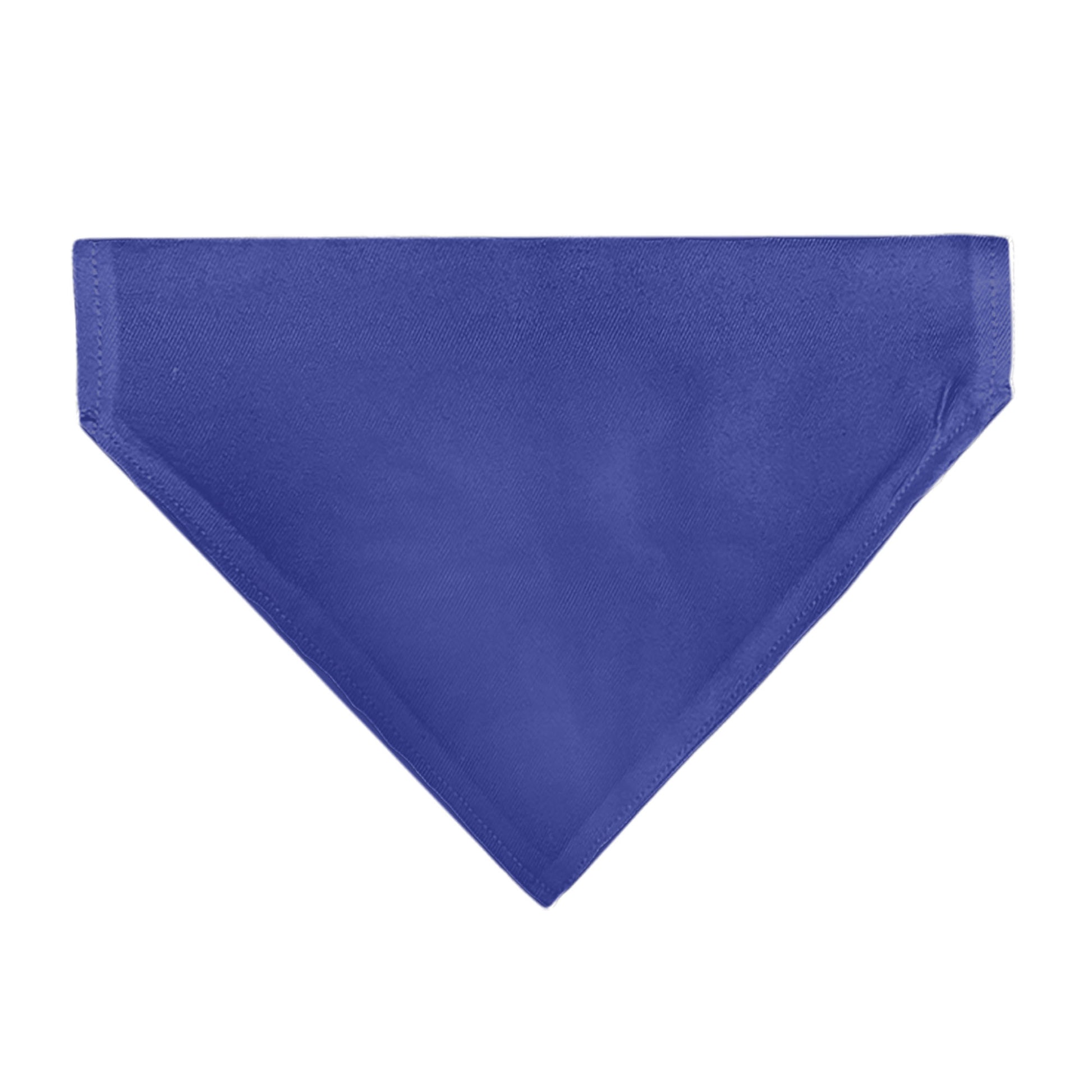 Pet Bandana - BIG SISTER Text and Paw Blues/Lavender Pet Bandanas Buckle-Down