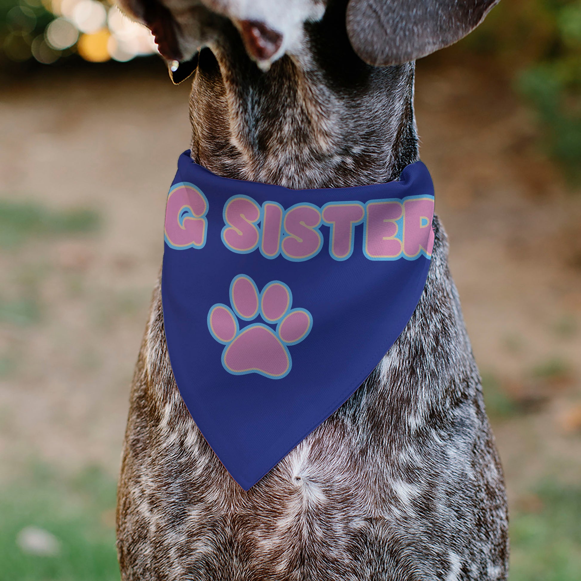 Pet Bandana - BIG SISTER Text and Paw Blues/Lavender Pet Bandanas Buckle-Down