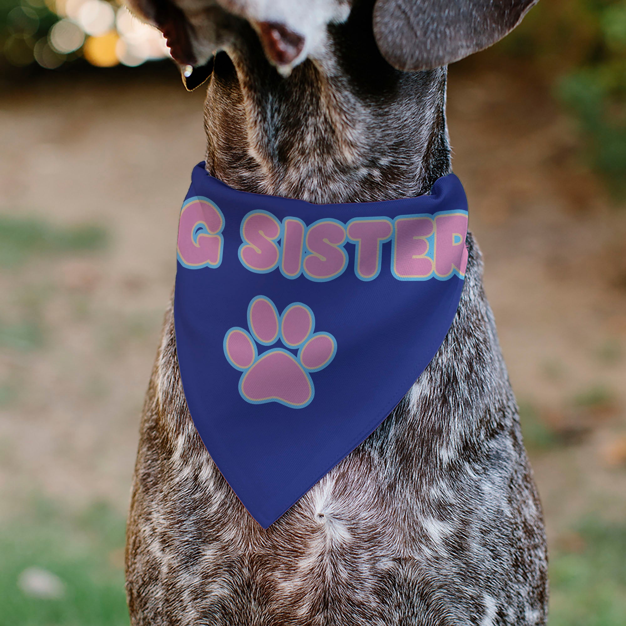 Pet Bandana - BIG SISTER Text and Paw Blues/Lavender Pet Bandanas Buckle-Down