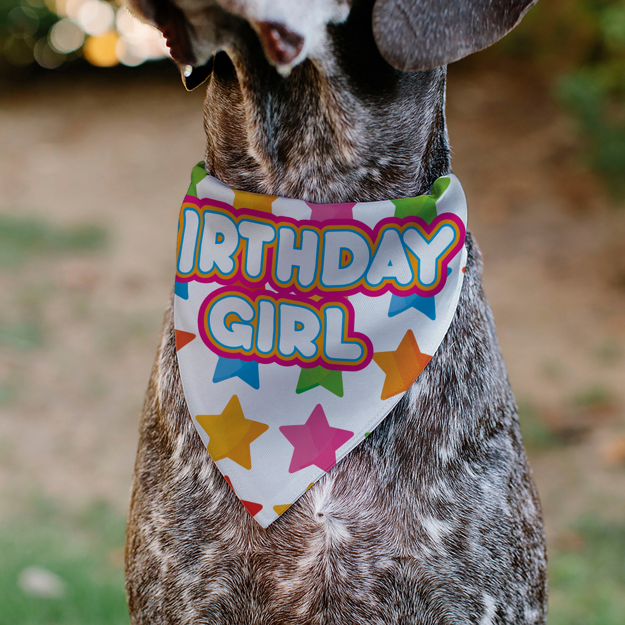 Pet Bandana - BIRTHDAY GIRL Text and Stars White/Multi Color Pet Bandanas Buckle-Down