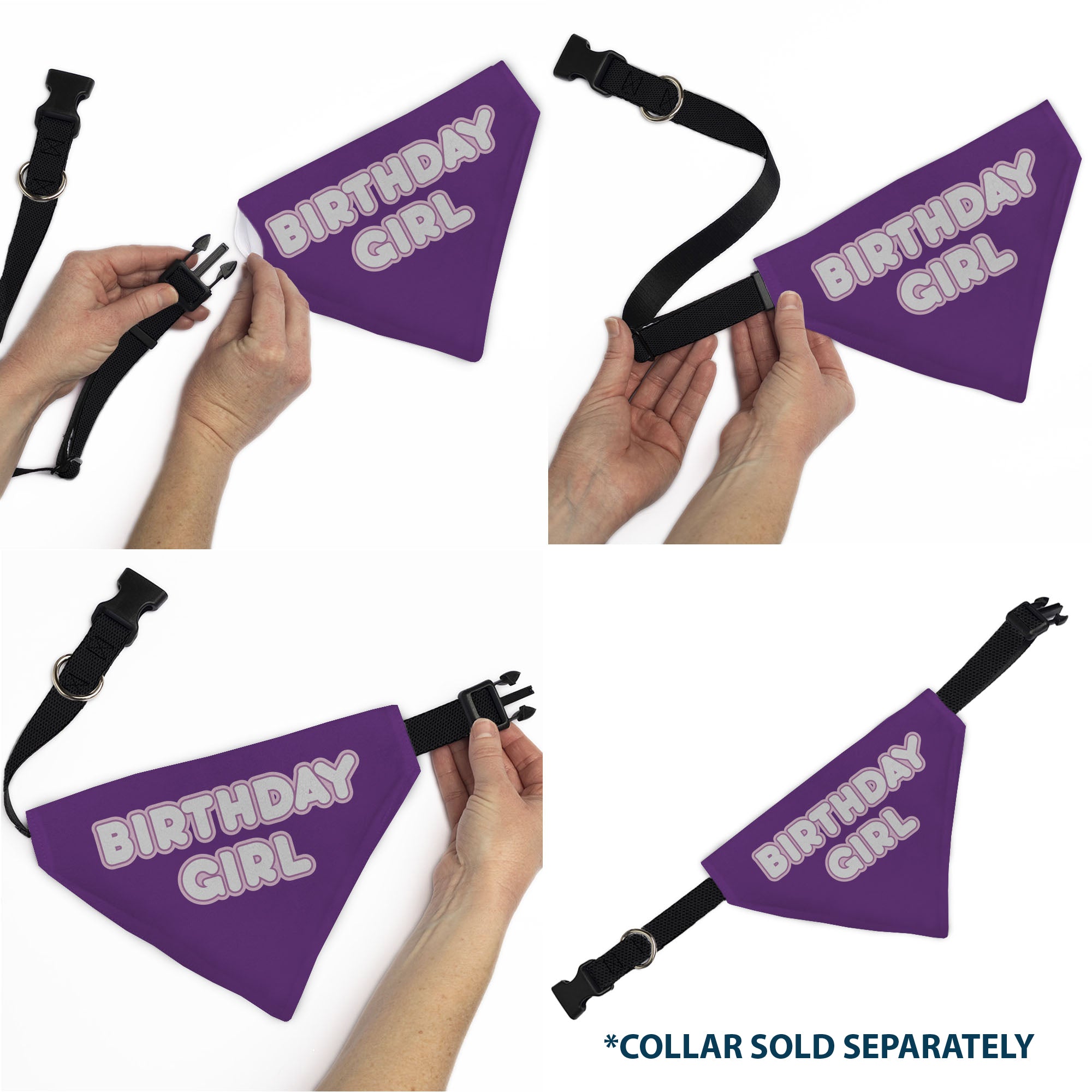 Pet Bandana - BIRTHDAY GIRL Text Purples/White Pet Bandanas Buckle-Down