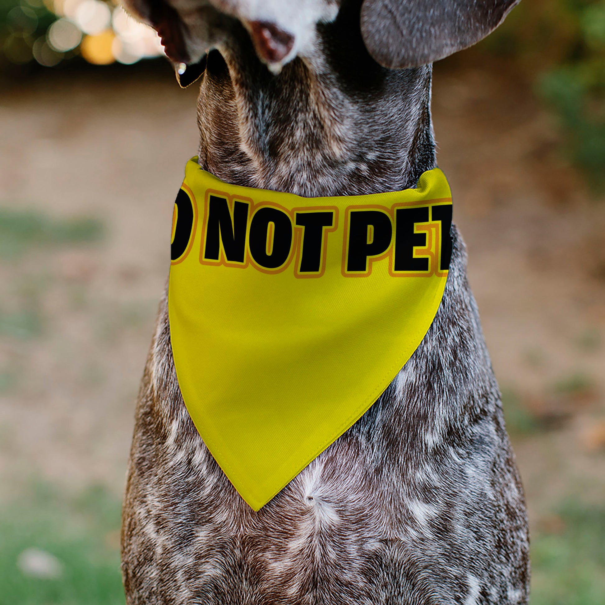 Pet Bandana - DO NOT PET Warning Yellows/Black Pet Bandanas Buckle-Down