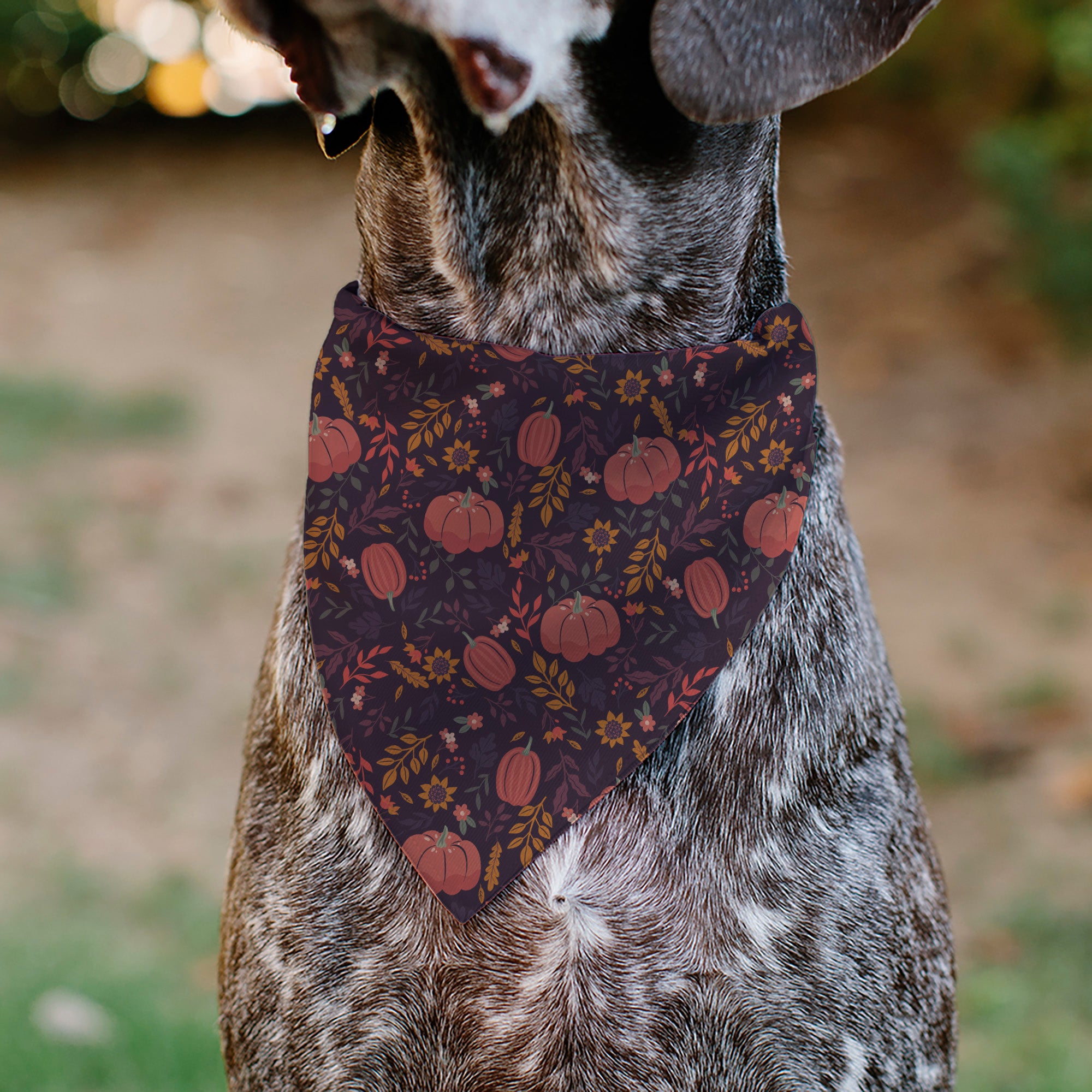 Pet Bandana - Fall Harvest Pumpkins and Flowers Collage Purples/Orange/Greens Pet Bandanas Buckle-Down