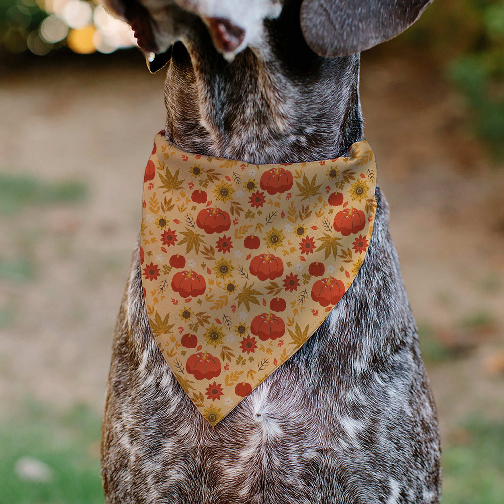 Pet Bandana - Fall Harvest Pumpkins and Flowers Collage Tan/Orange/Yellows Pet Bandanas Buckle-Down