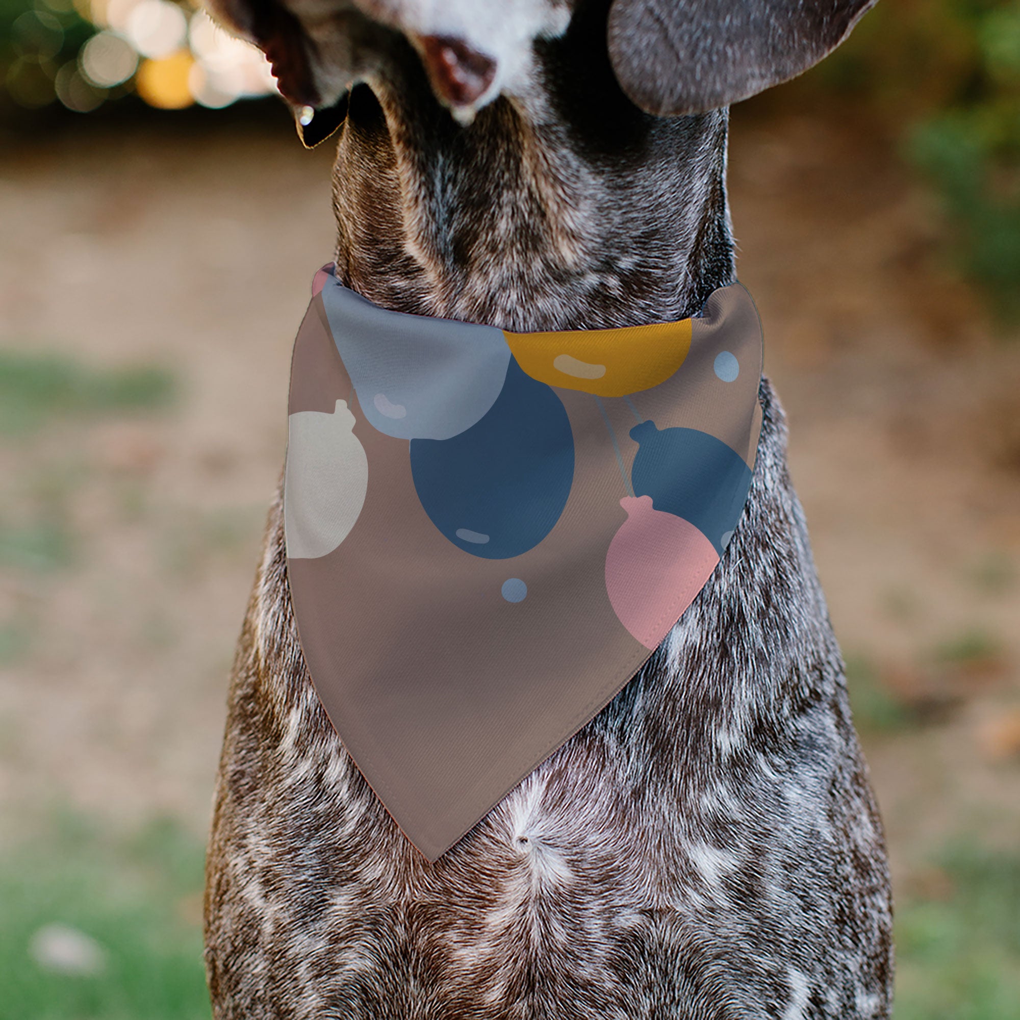 Pet Bandana - HAPPY BIRTHDAY Text and Balloons Tan/Multi Color Pet Bandanas Buckle-Down