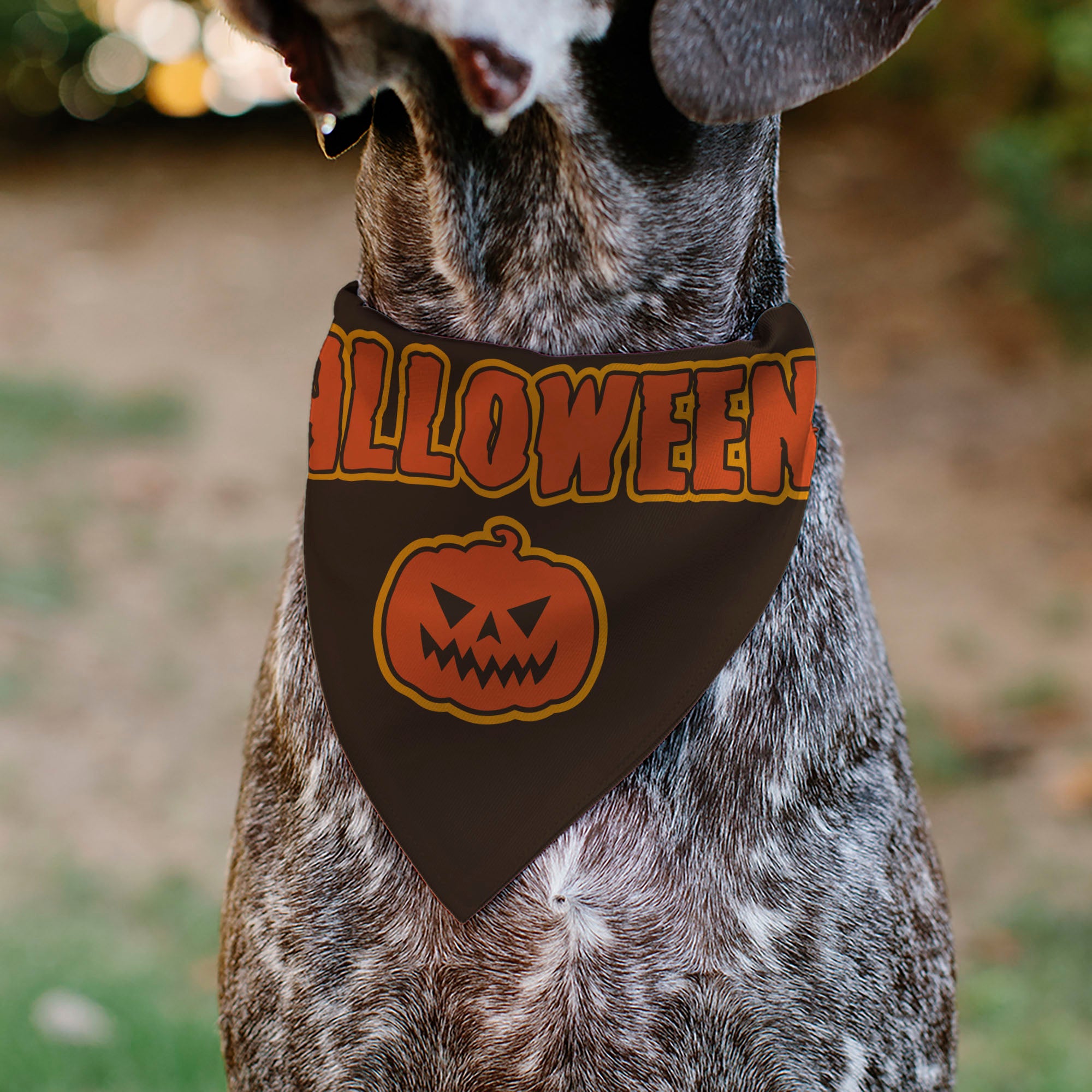 Pet Bandana - HALLOWEEN Jack-O-Lantern Pumpkin Black/Orange Pet Bandanas Buckle-Down