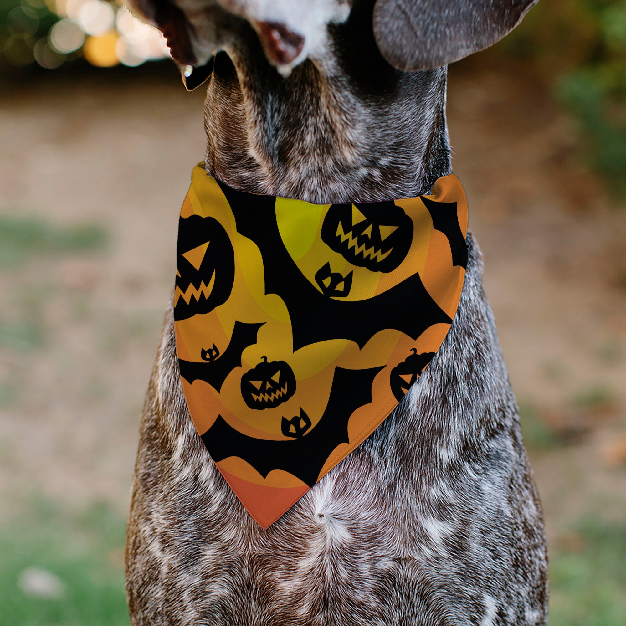 Pet Bandana - Halloween Bats and Jack-O-Lanterns Pumpkins Orange/Black Pet Bandanas Buckle-Down