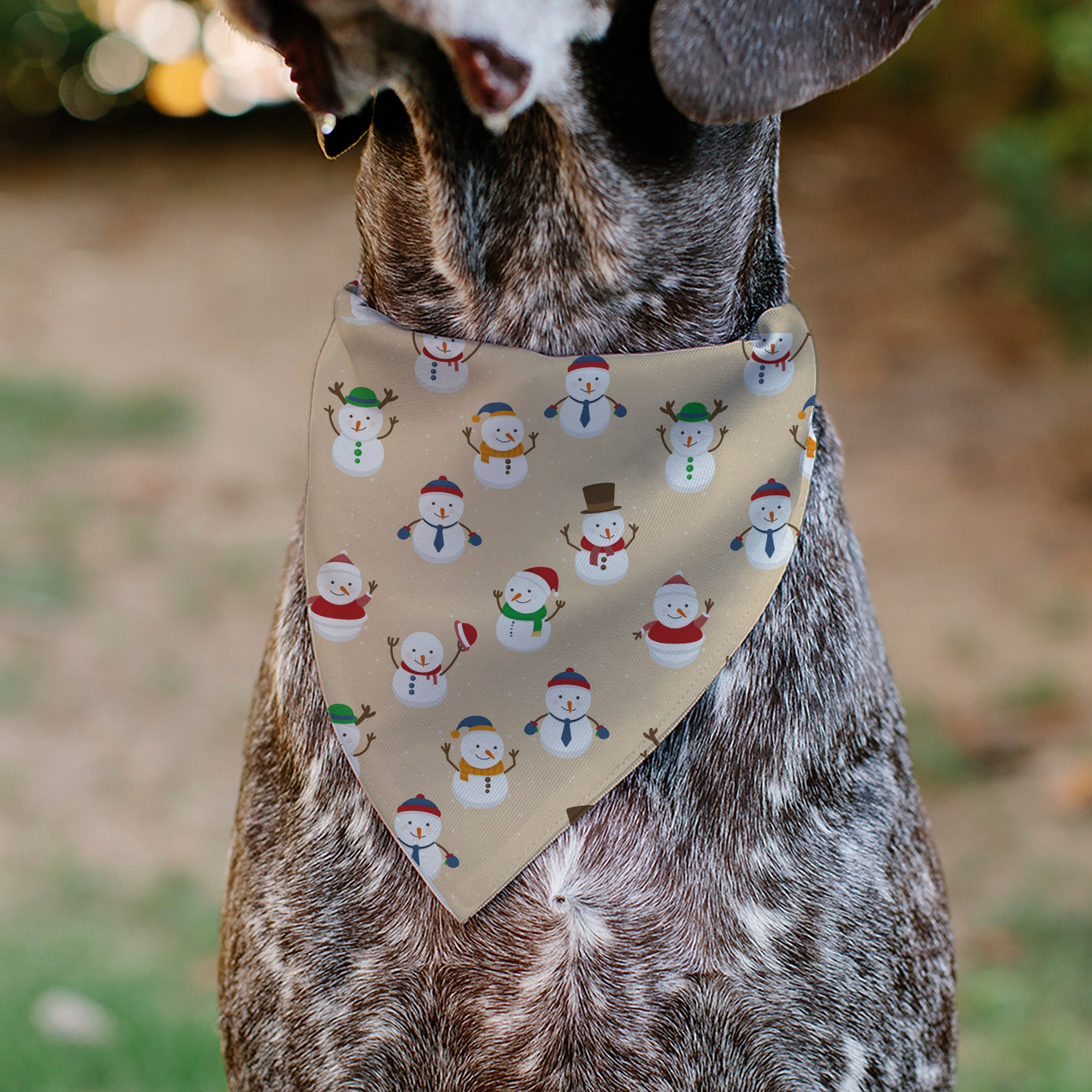Pet Bandana - Holiday Snowman Poses Tan Pet Bandanas Buckle-Down