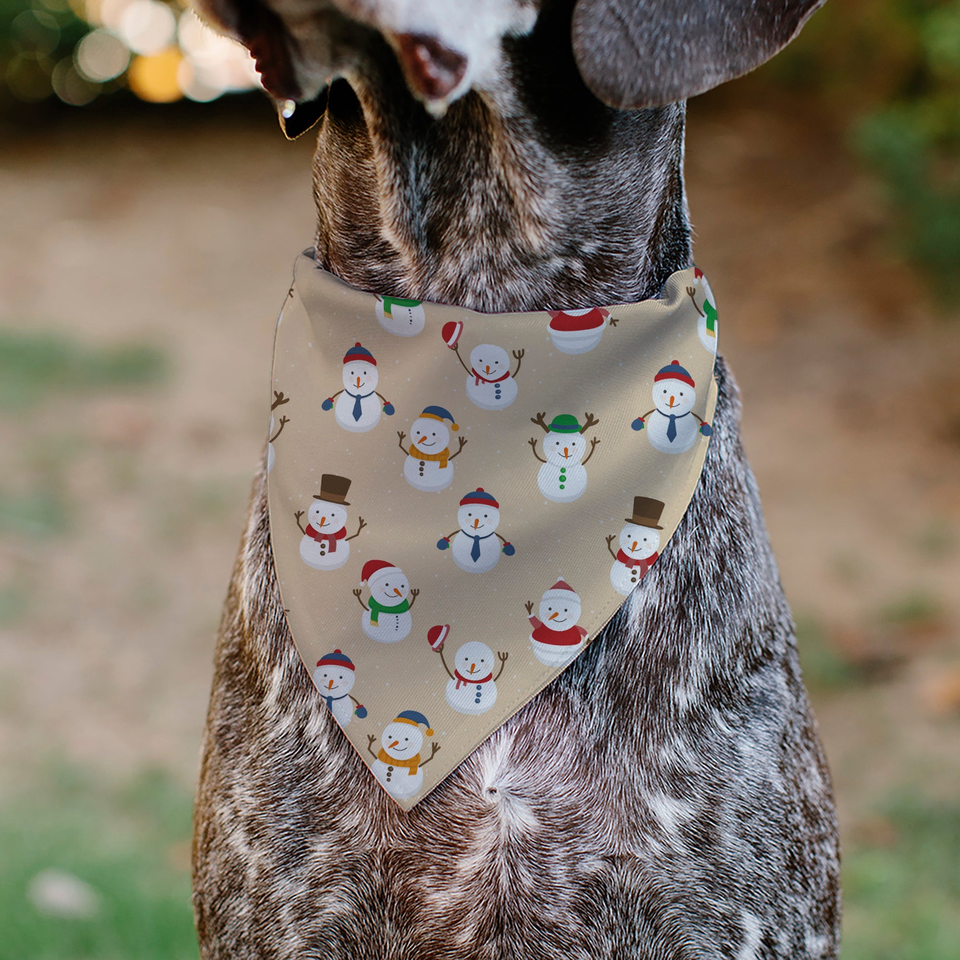 Pet Bandana - Holiday Snowman Poses Tan Pet Bandanas Buckle-Down