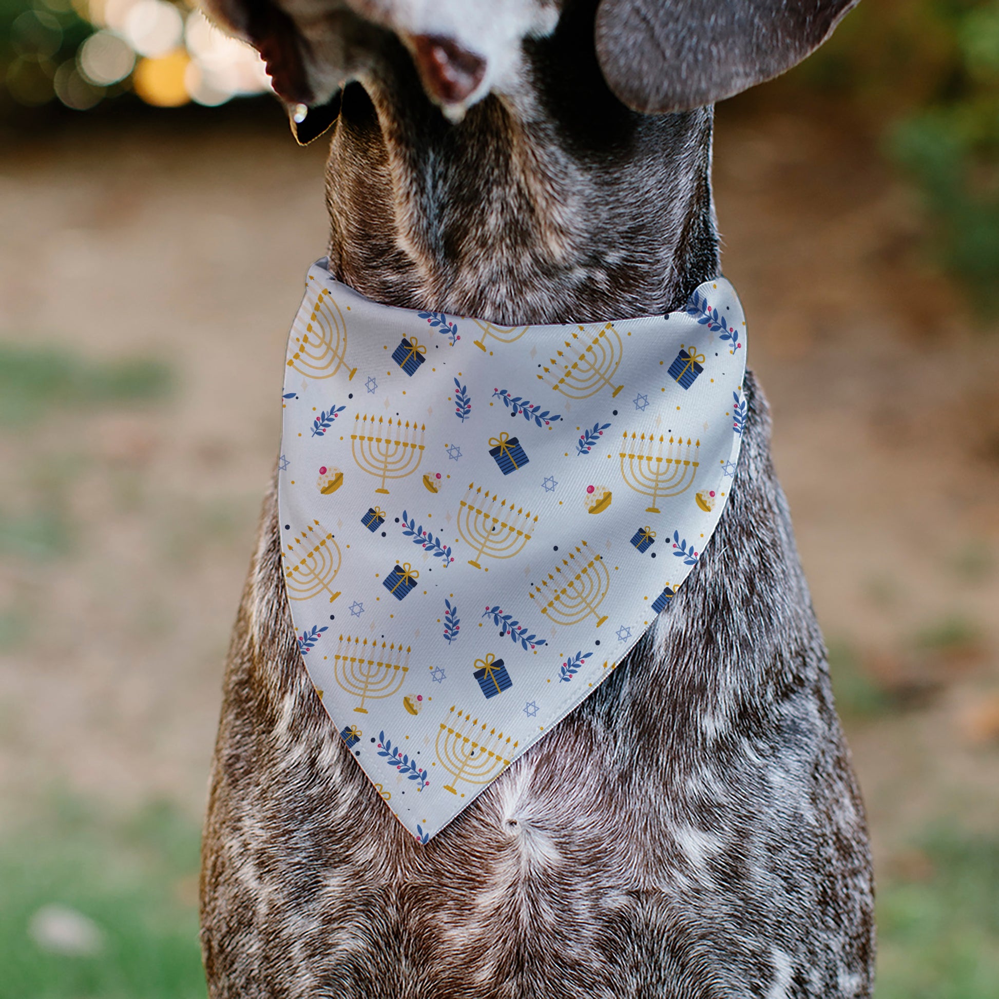 Pet Bandana - Holiday Hanukkah Menorah and Gifts Collage White Pet Bandanas Buckle-Down