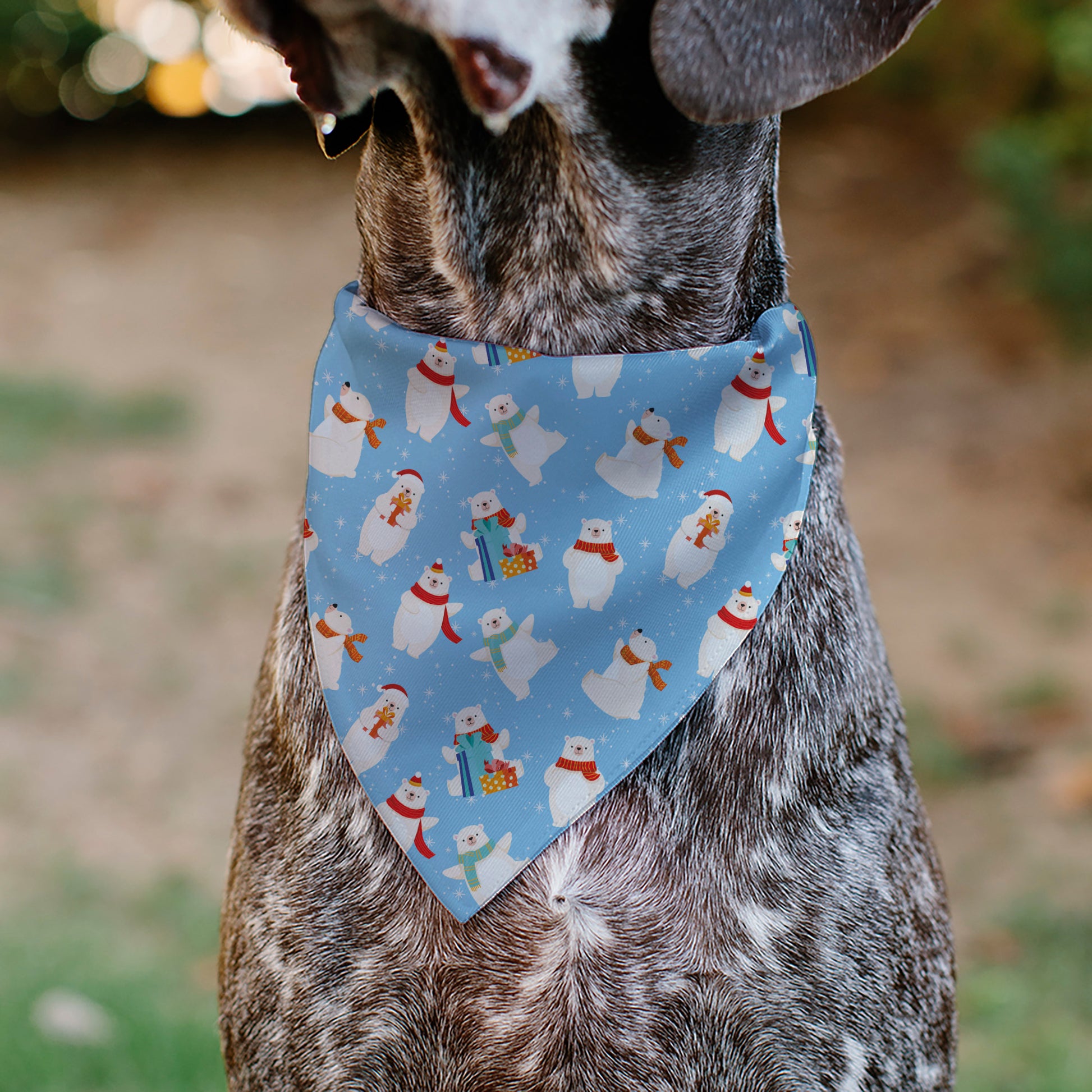 Pet Bandana - Holiday Polar Bear Poses Baby Blue Pet Bandanas Buckle-Down