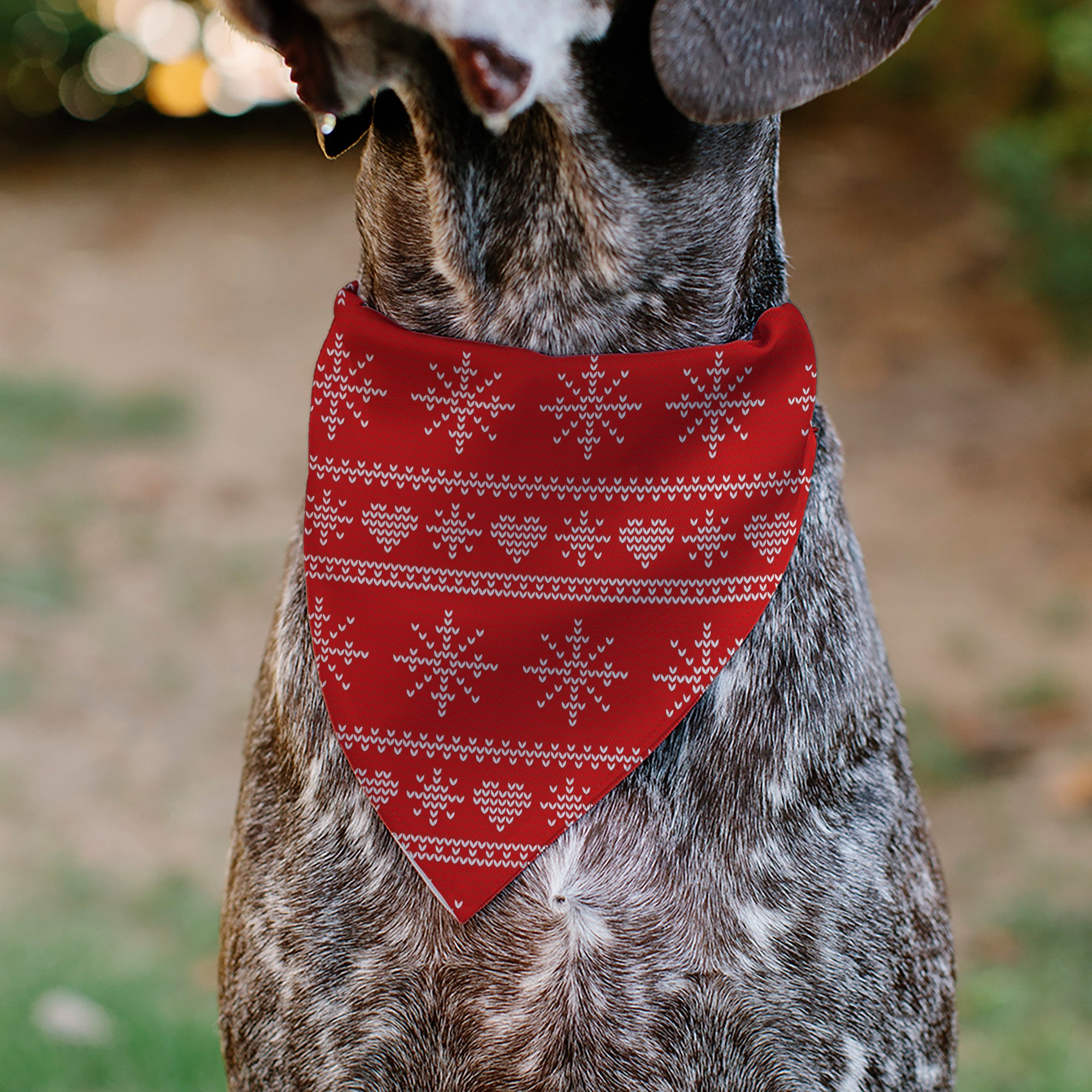 Pet Bandana - Holiday Sweater Stitch Hearts and Snowflakes Red/White Pet Bandanas Buckle-Down