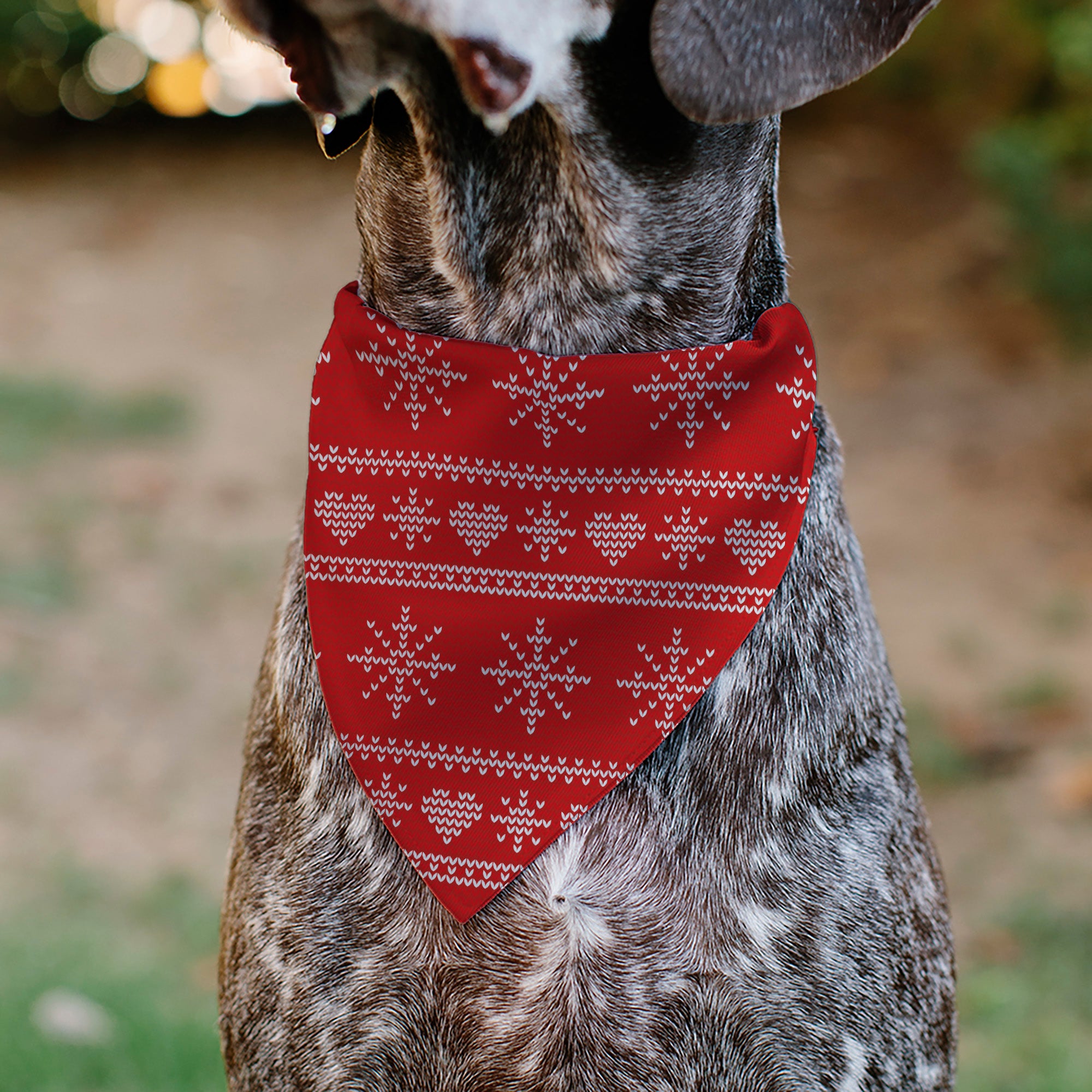 Pet Bandana - Holiday Sweater Stitch Hearts and Snowflakes Red/White Pet Bandanas Buckle-Down