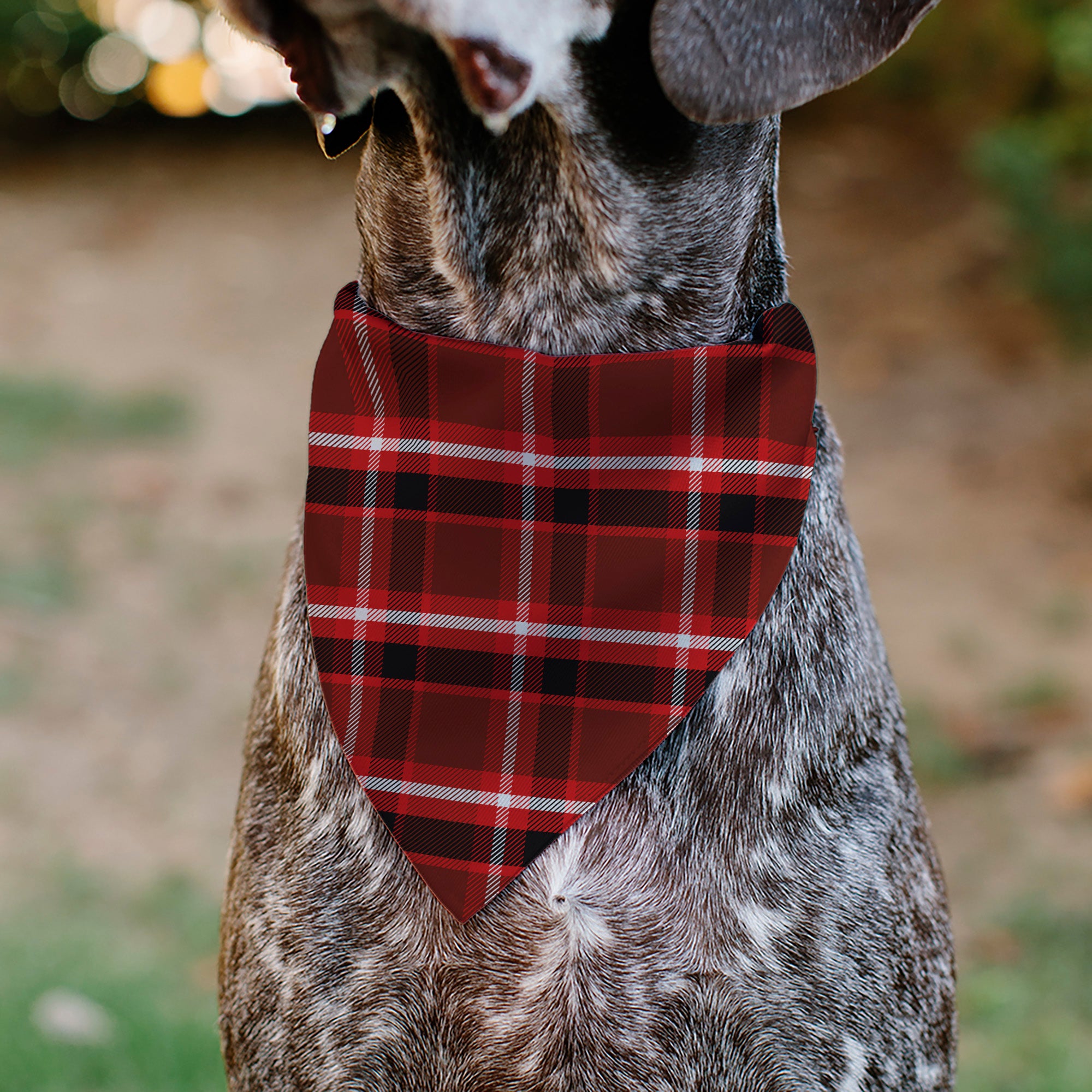 Pet Bandana - Holiday Pajama Plaid Red/Black/White Pet Bandanas Buckle-Down