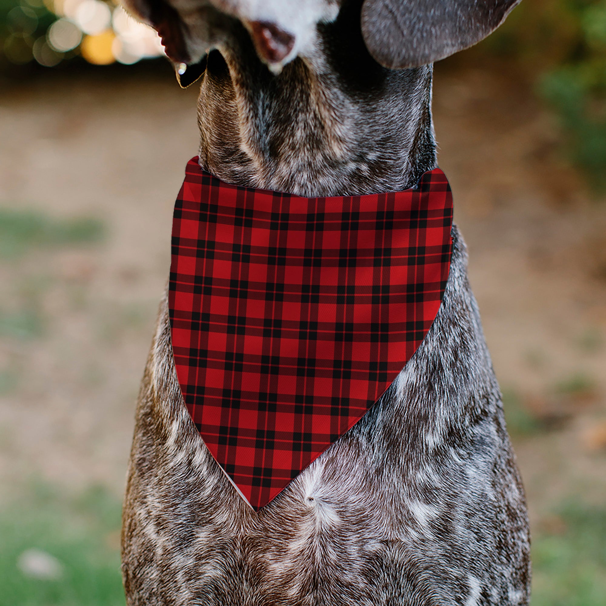 Pet Bandana - Holiday Pajama Plaid Red/Black Pet Bandanas Buckle-Down