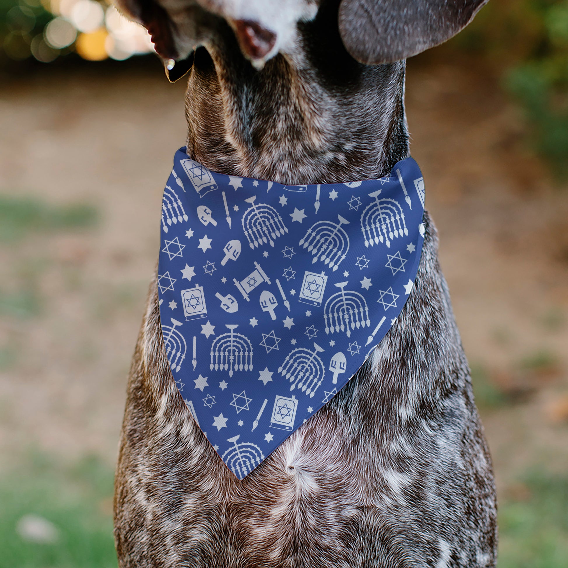 Pet Bandana - Hanukkah Holiday Symbols Blue/White Pet Bandanas Buckle-Down
