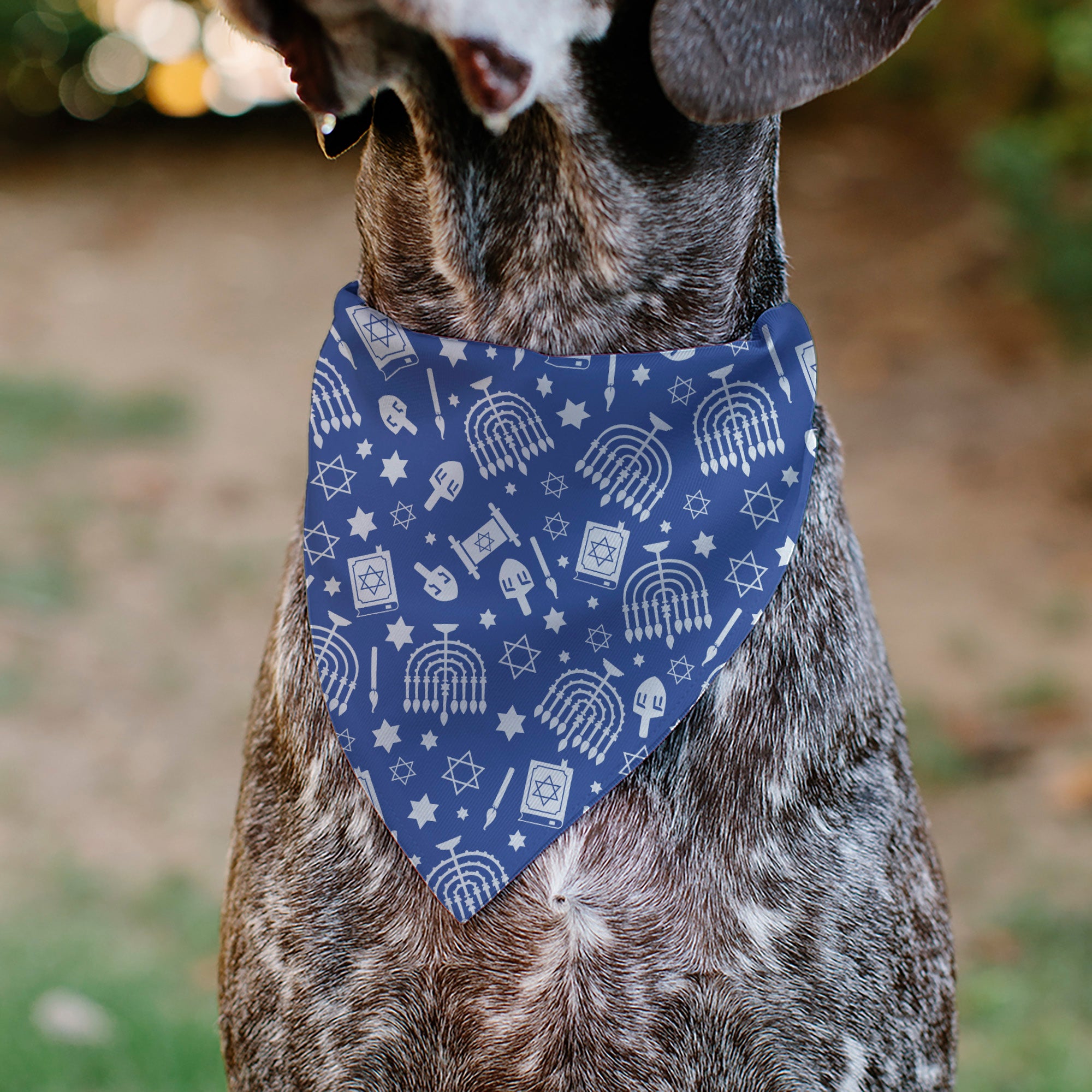 Pet Bandana - Hanukkah Holiday Symbols Blue/White Pet Bandanas Buckle-Down