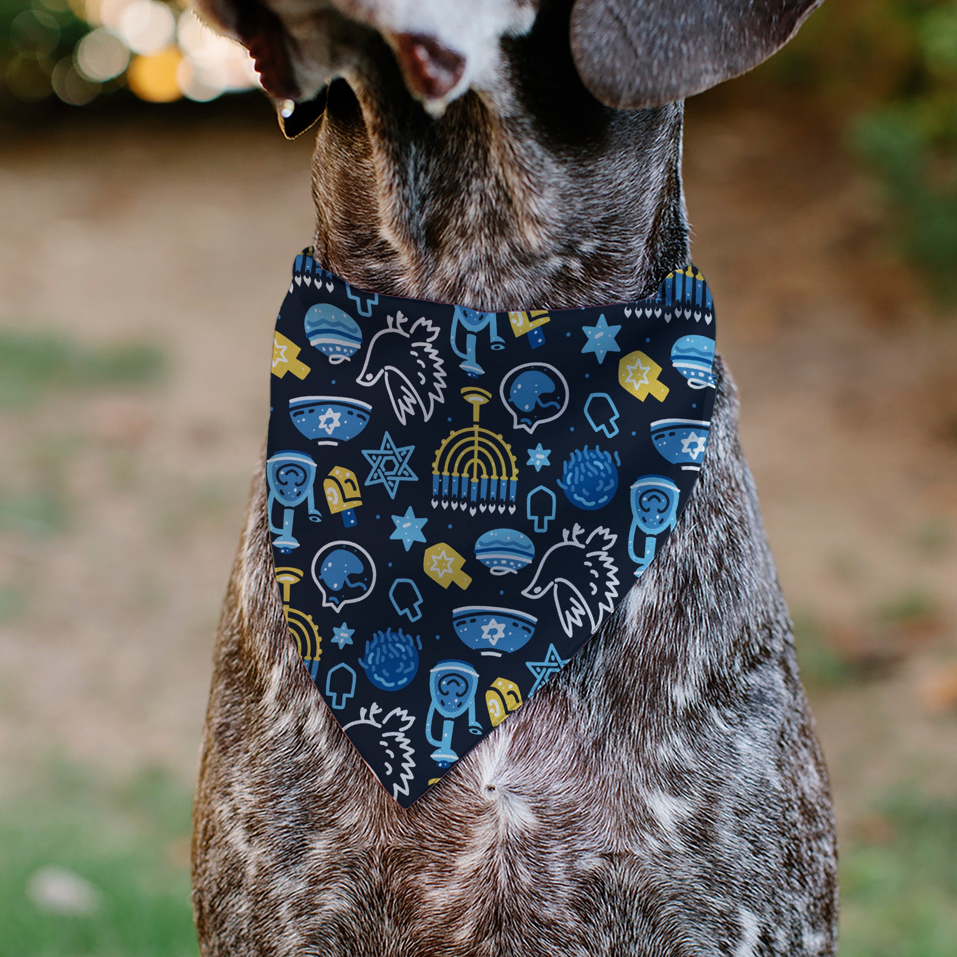 Pet Bandana - Hanukkah Holiday Symbols Black/Blues/Yellow Pet Bandanas Buckle-Down