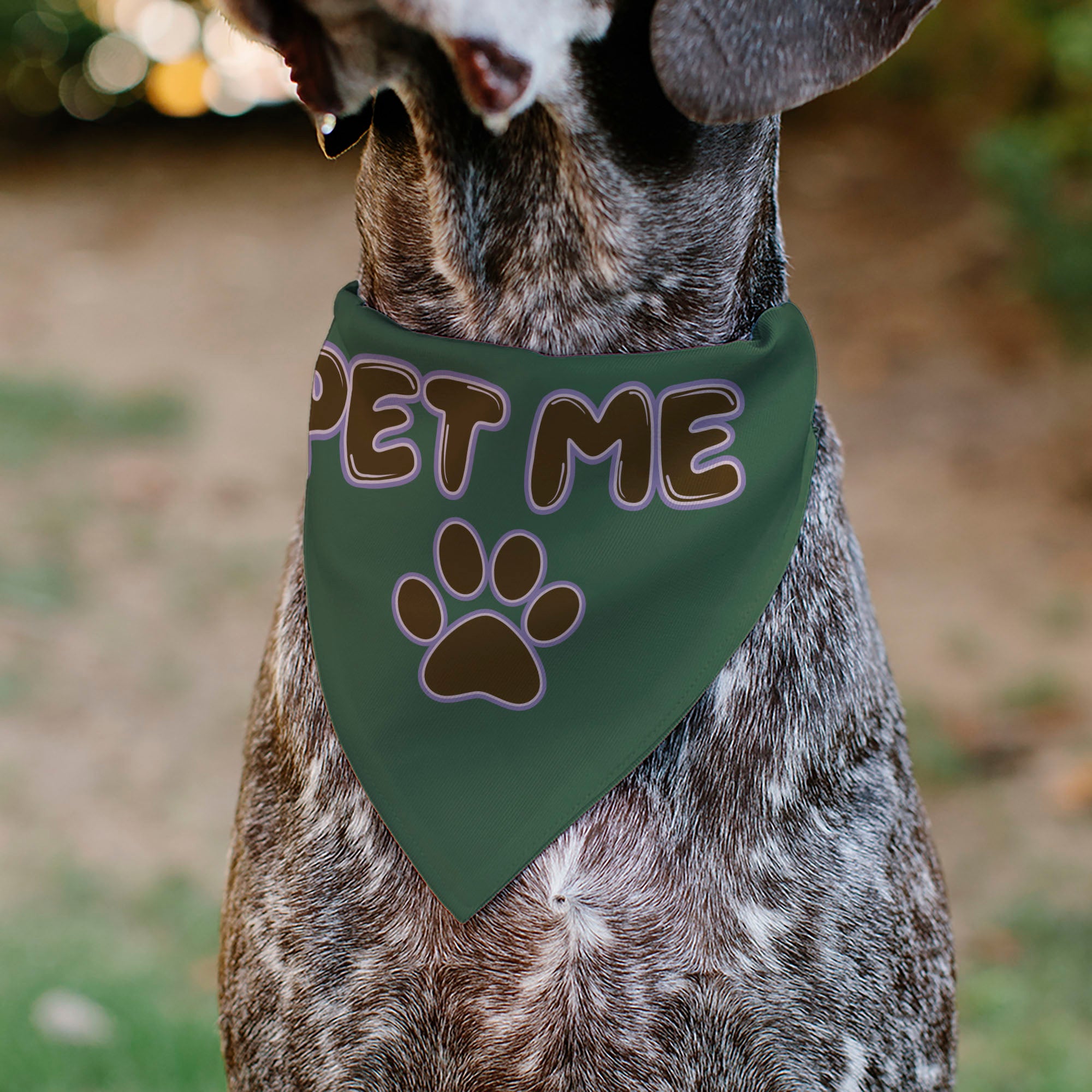 Pet Bandana - PET ME Text and Paw Olive/Pinks/Brown Pet Bandanas Buckle-Down