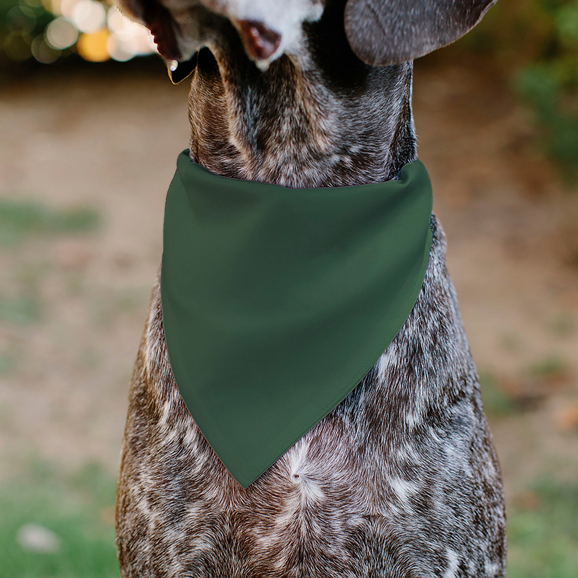 Pet Bandana - PET ME Text and Paw Olive/Pinks/Brown Pet Bandanas Buckle-Down