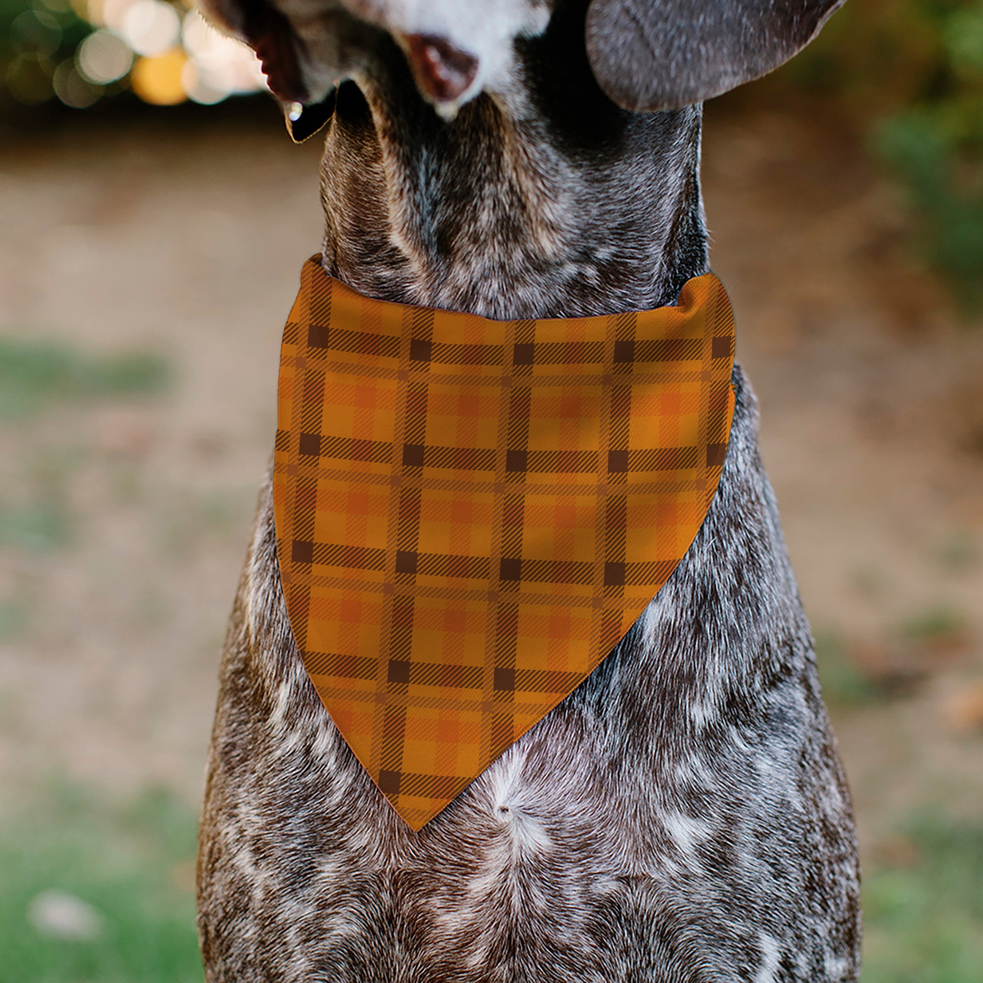 Pet Bandana - Plaid Orange/Brown Pet Bandanas Buckle-Down