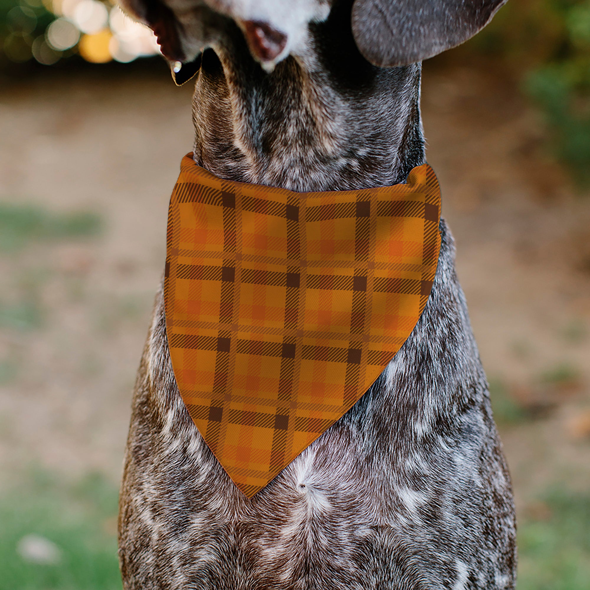 Pet Bandana - Plaid Orange/Brown Pet Bandanas Buckle-Down