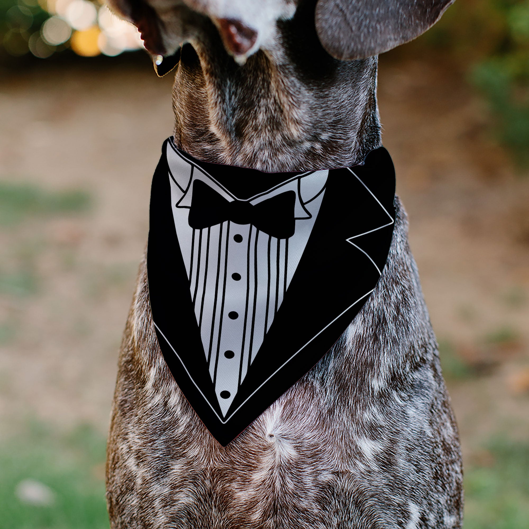 Pet Bandana - Tuxedo Shirt Print Black/White Pet Bandanas Buckle-Down